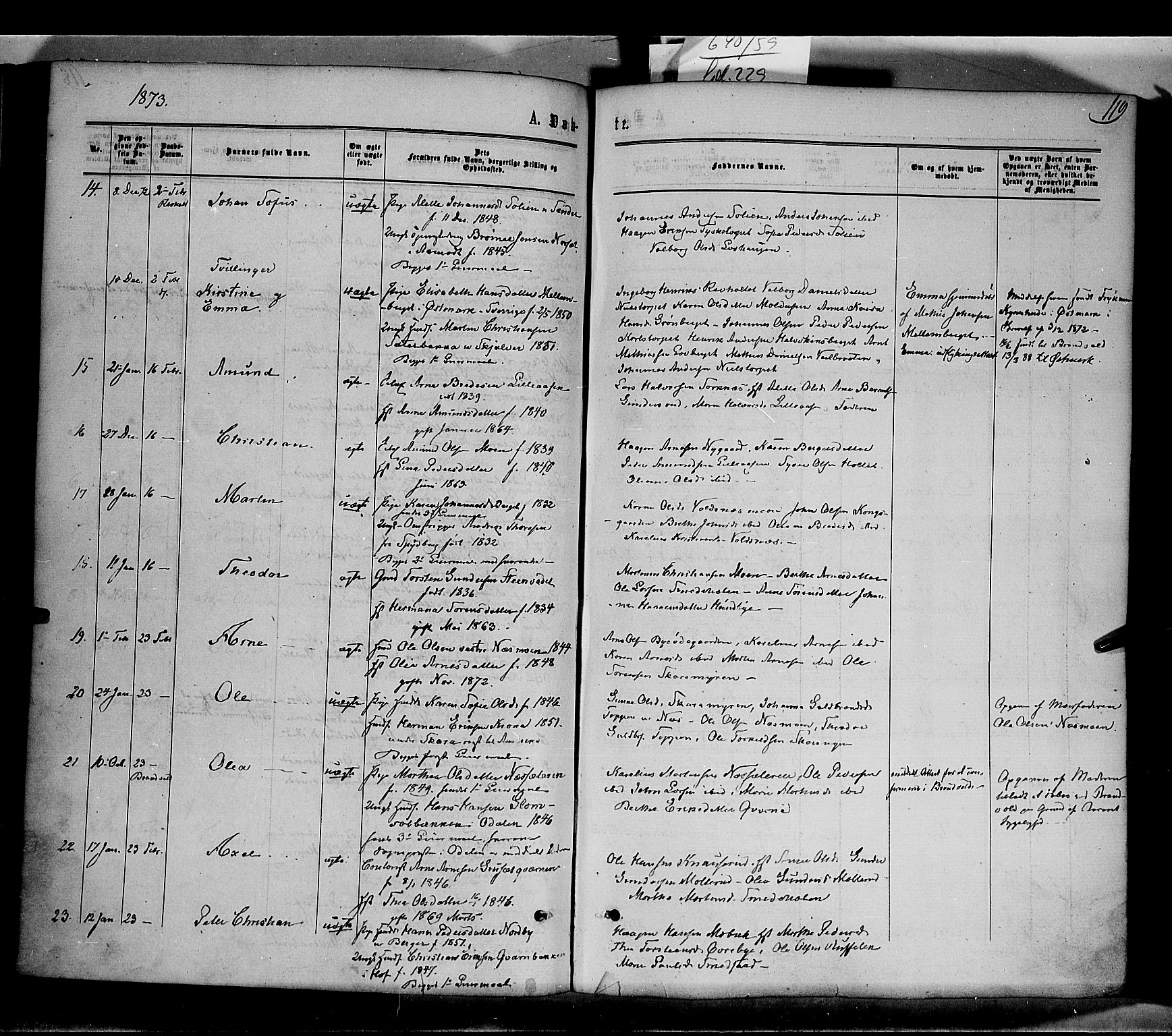 Grue prestekontor, SAH/PREST-036/H/Ha/Haa/L0010: Parish register (official) no. 10, 1864-1873, p. 119