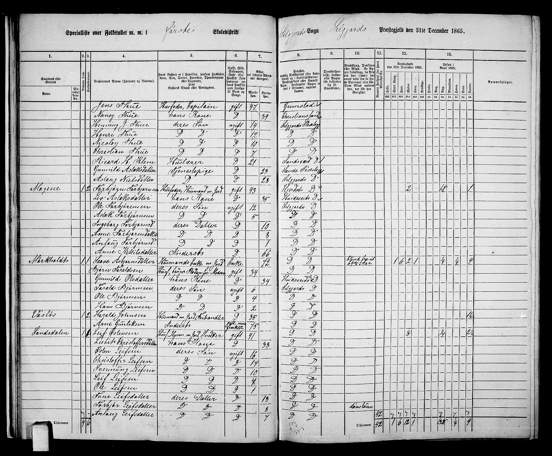 RA, 1865 census for Seljord, 1865, p. 22