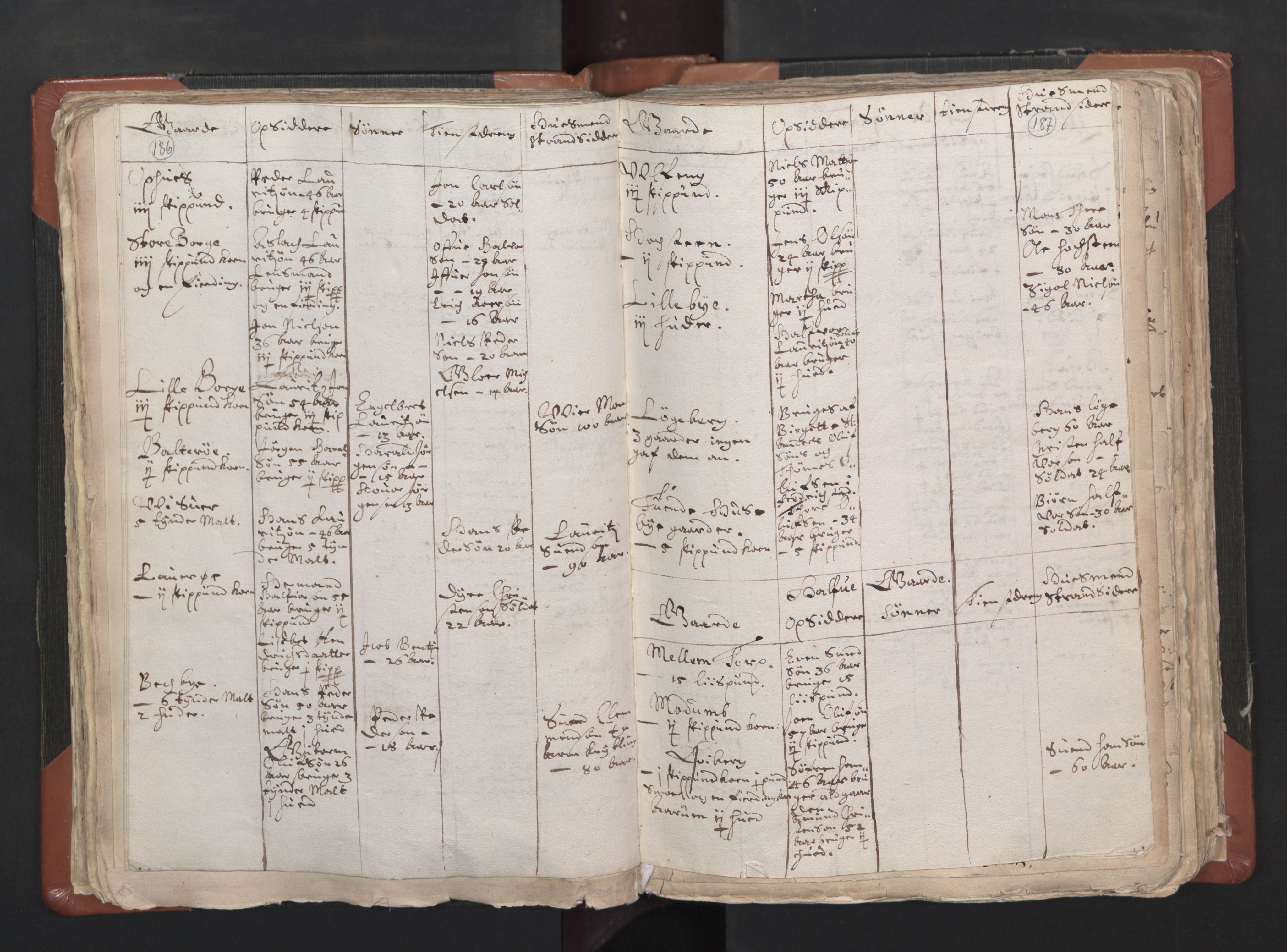 RA, Vicar's Census 1664-1666, no. 1: Nedre Borgesyssel deanery, 1664-1666, p. 186-187