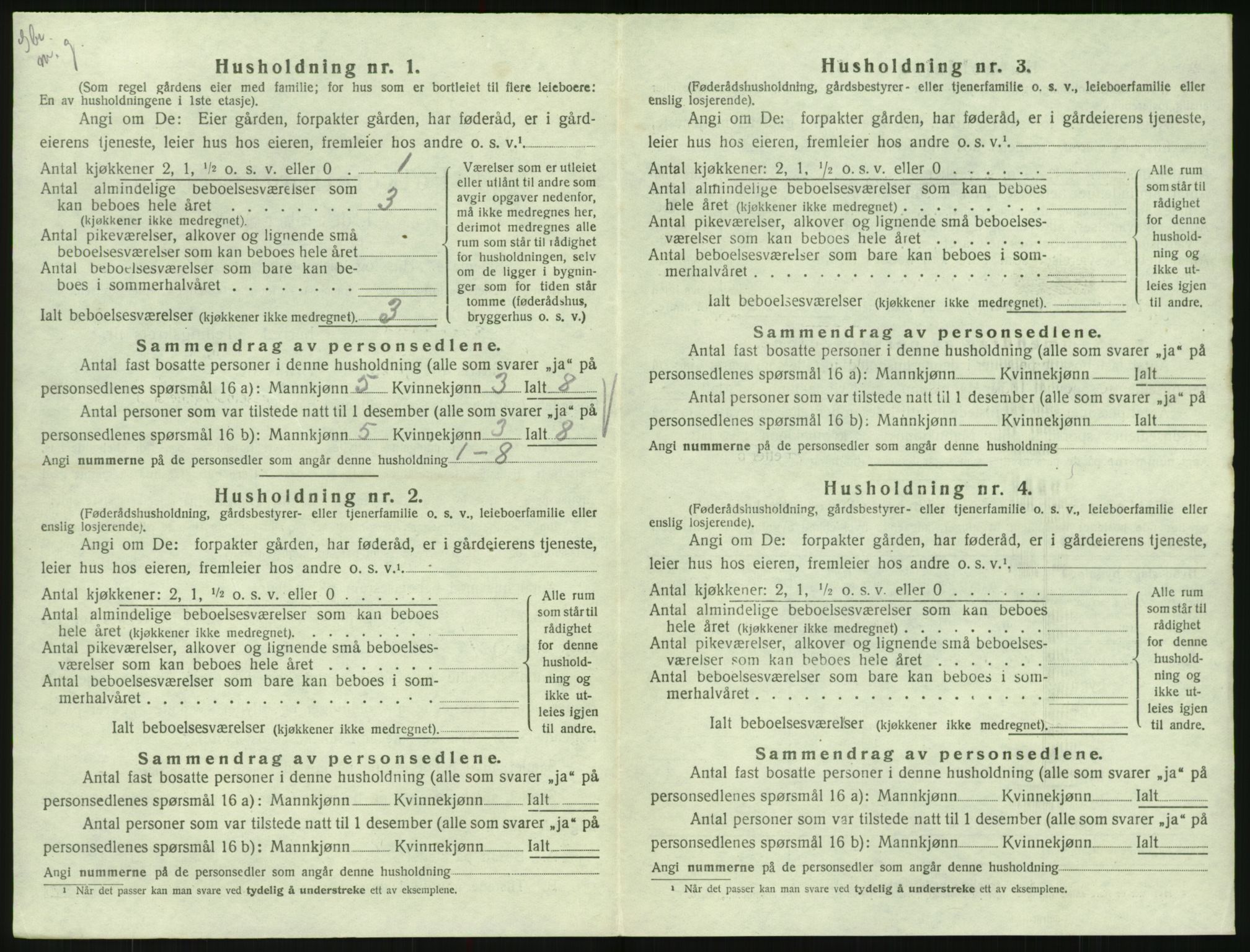 SAK, 1920 census for Hornnes, 1920, p. 506