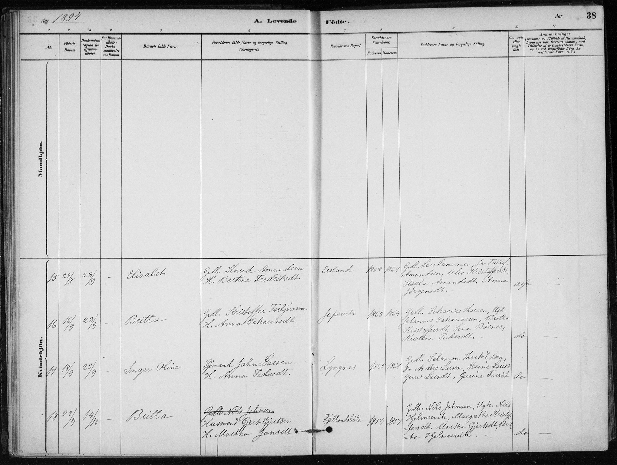 Skånevik sokneprestembete, AV/SAB-A-77801/H/Haa: Parish register (official) no. C  1, 1879-1917, p. 38