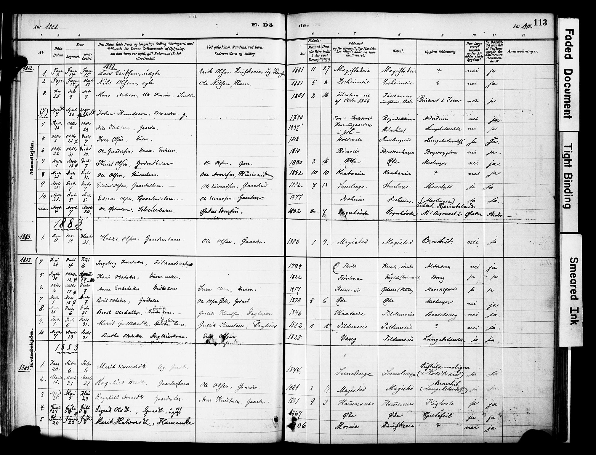 Vestre Slidre prestekontor, SAH/PREST-136/H/Ha/Haa/L0006: Parish register (official) no. 6, 1881-1912, p. 113