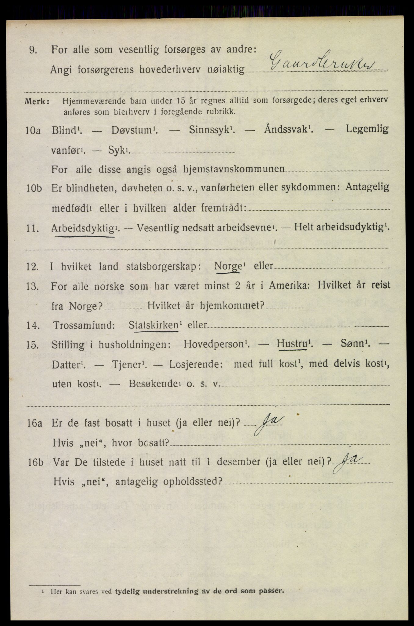 SAH, 1920 census for Vang (Hedmark), 1920, p. 17536