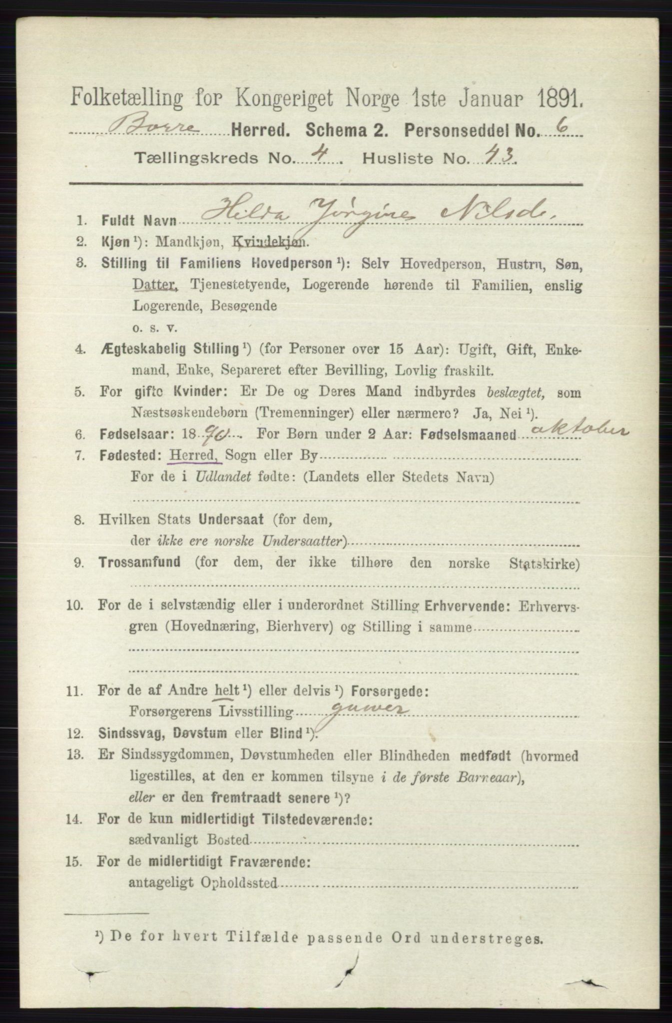 RA, 1891 census for 0717 Borre, 1891, p. 1899