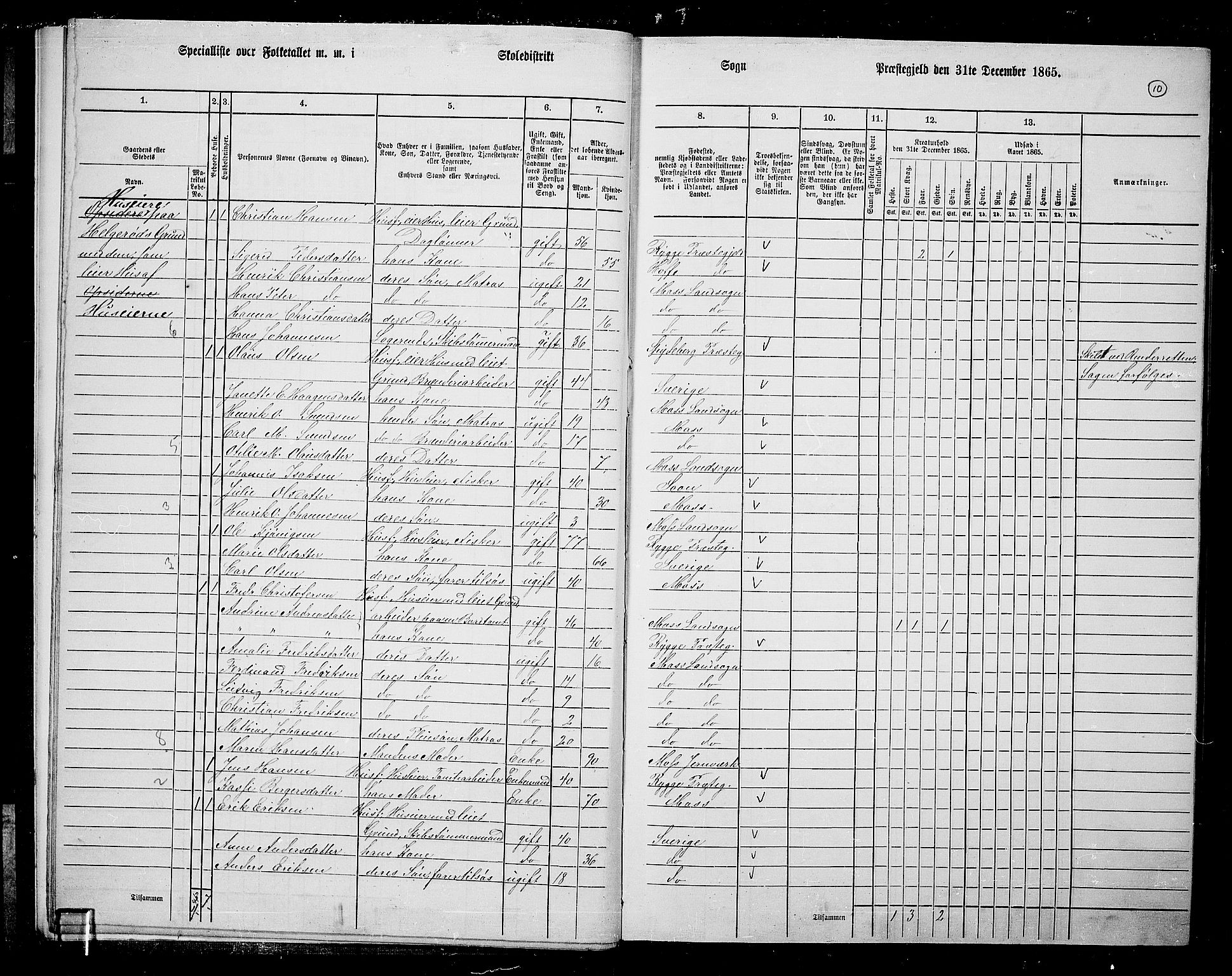 RA, 1865 census for Moss/Moss, 1865, p. 11