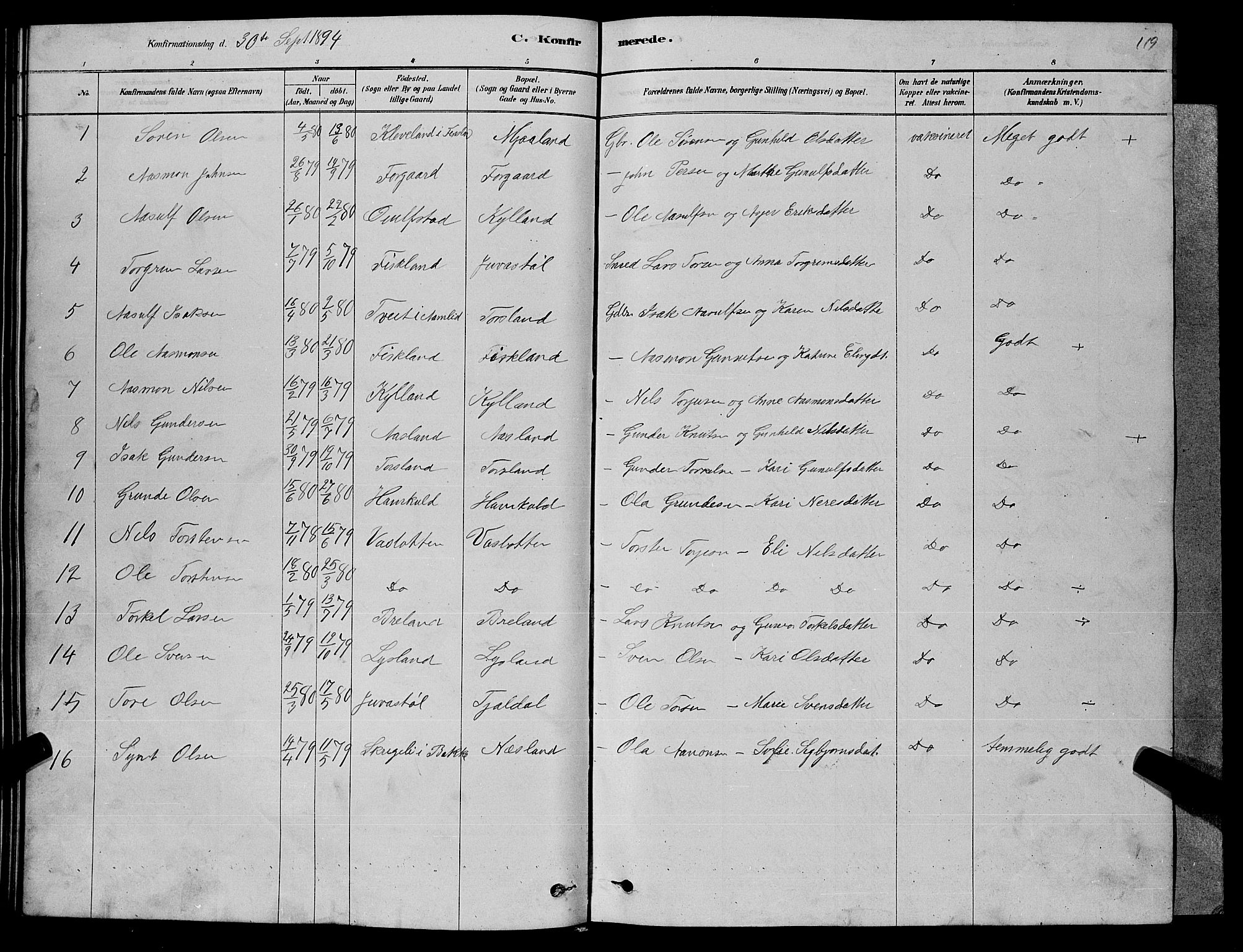 Åseral sokneprestkontor, AV/SAK-1111-0051/F/Fb/L0002: Parish register (copy) no. B 2, 1878-1899, p. 119