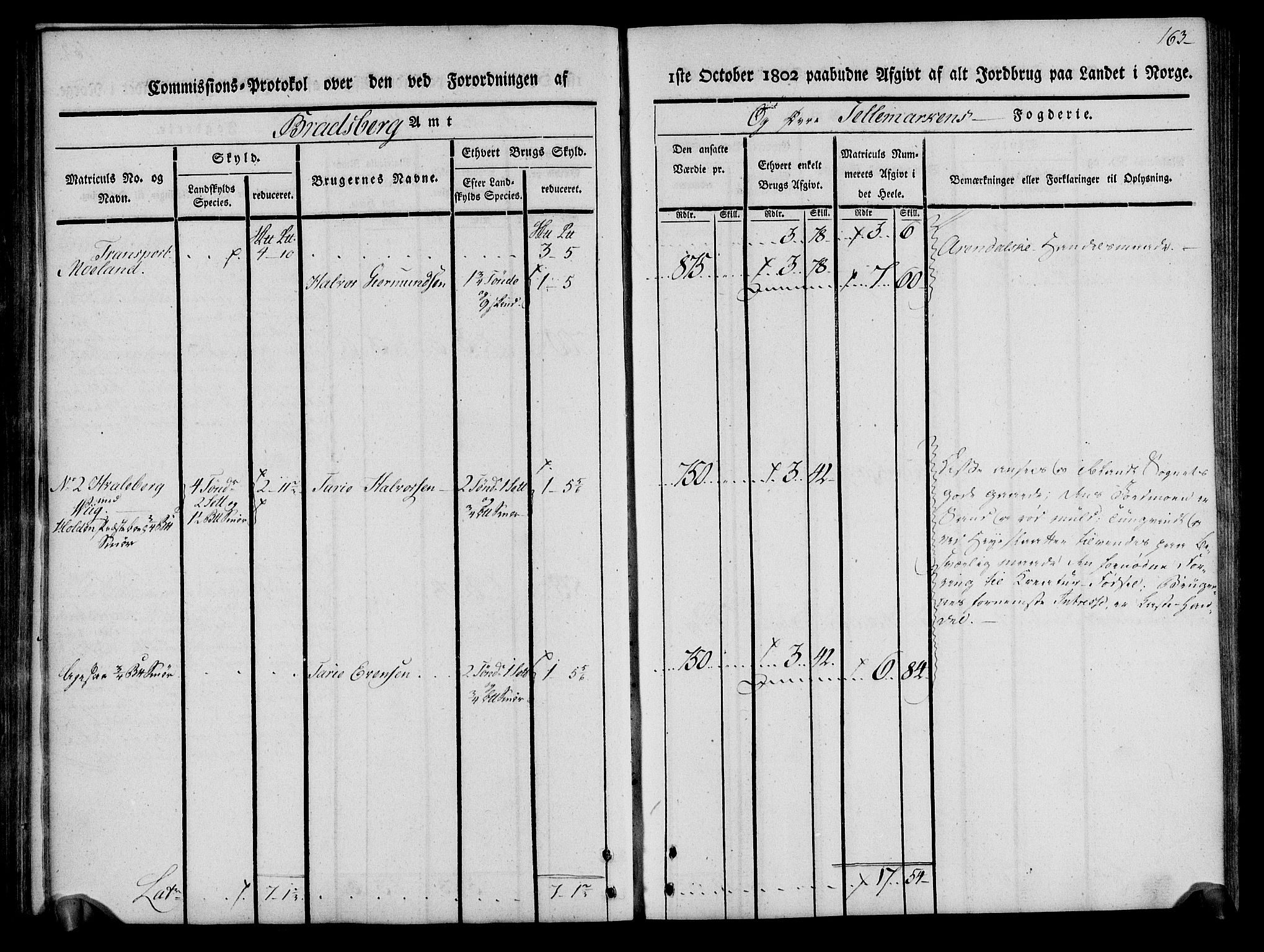 Rentekammeret inntil 1814, Realistisk ordnet avdeling, AV/RA-EA-4070/N/Ne/Nea/L0075: Øvre Telemarken fogderi. Kommisjonsprotokoll for fogderiets vestre del - Kviteseid, Vinje, Moland [):Fyresdal] og Lårdal prestegjeld., 1803, p. 165