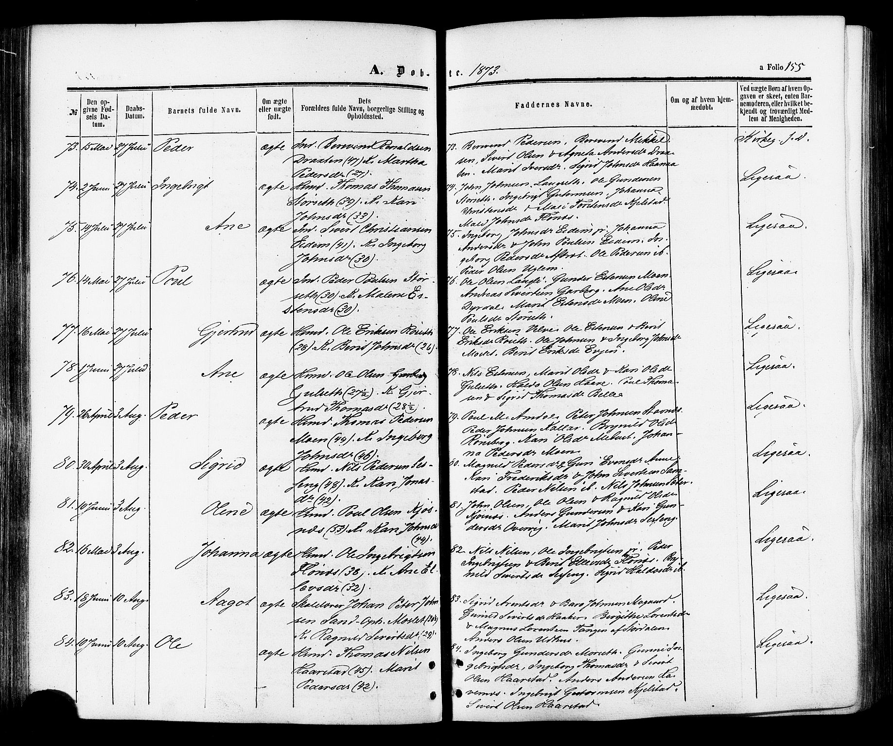 Ministerialprotokoller, klokkerbøker og fødselsregistre - Sør-Trøndelag, AV/SAT-A-1456/695/L1147: Parish register (official) no. 695A07, 1860-1877, p. 155