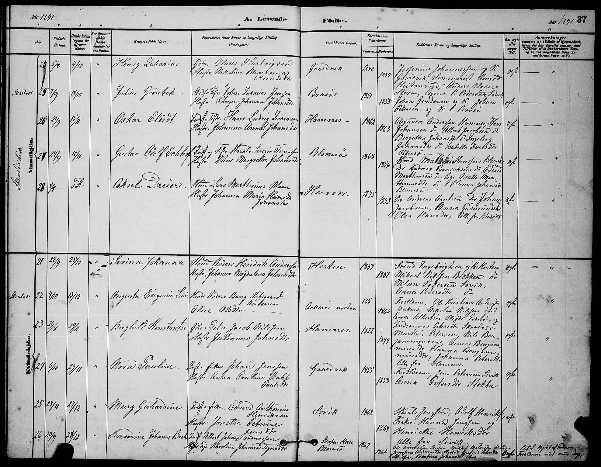 Ministerialprotokoller, klokkerbøker og fødselsregistre - Nordland, AV/SAT-A-1459/830/L0462: Parish register (copy) no. 830C04, 1882-1895, p. 37