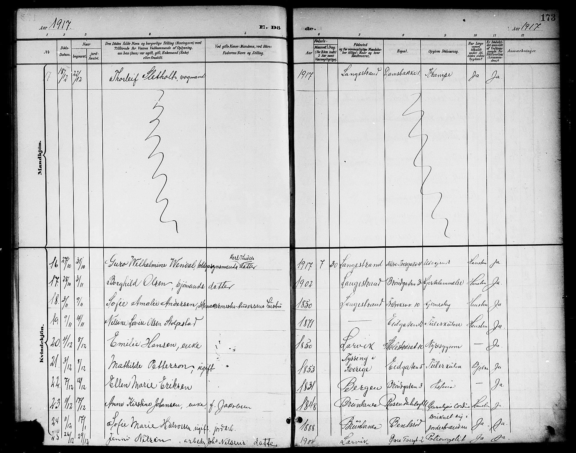 Larvik kirkebøker, AV/SAKO-A-352/G/Gb/L0004: Parish register (copy) no. II 4, 1899-1919, p. 173