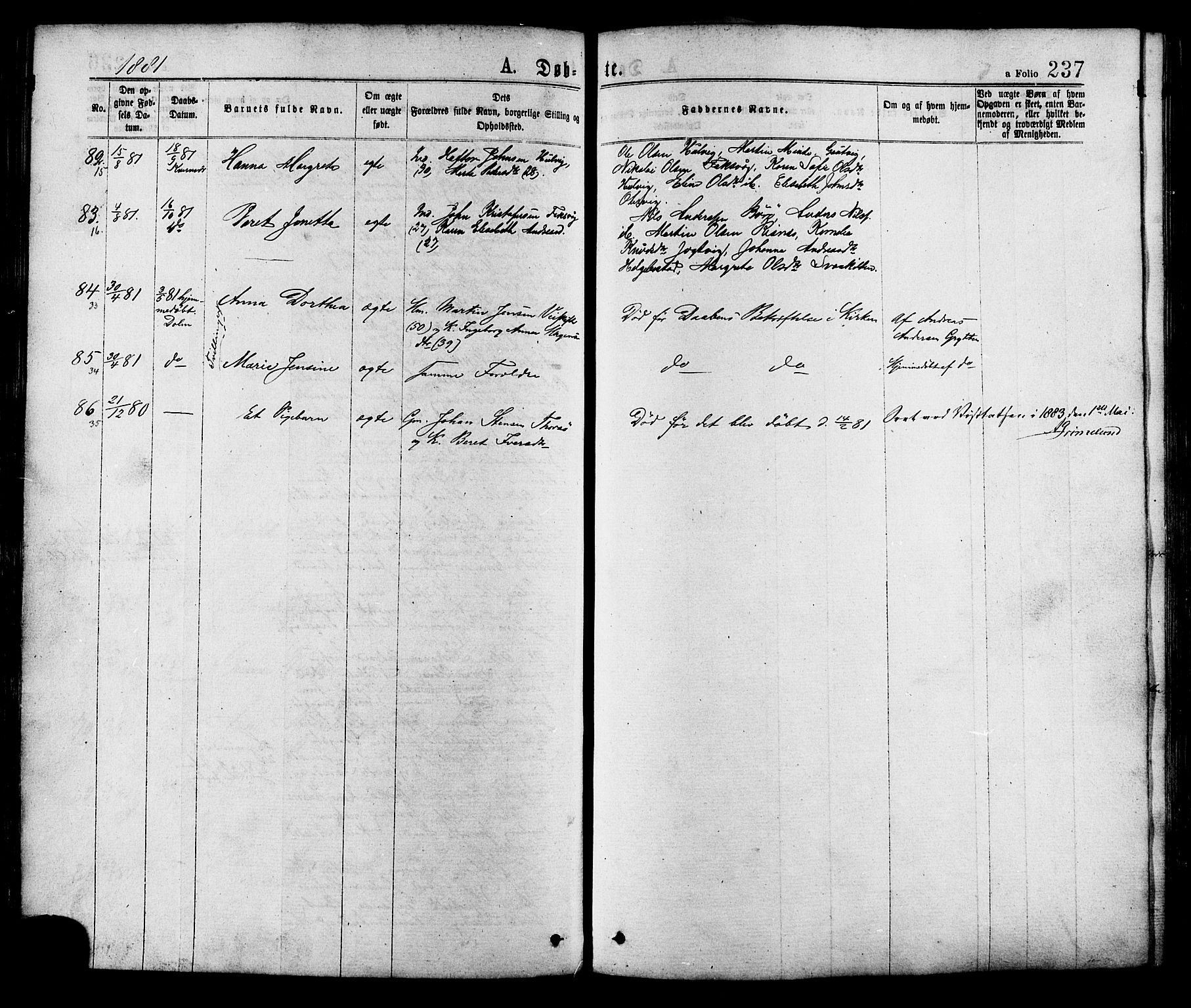 Ministerialprotokoller, klokkerbøker og fødselsregistre - Sør-Trøndelag, AV/SAT-A-1456/634/L0532: Parish register (official) no. 634A08, 1871-1881, p. 237