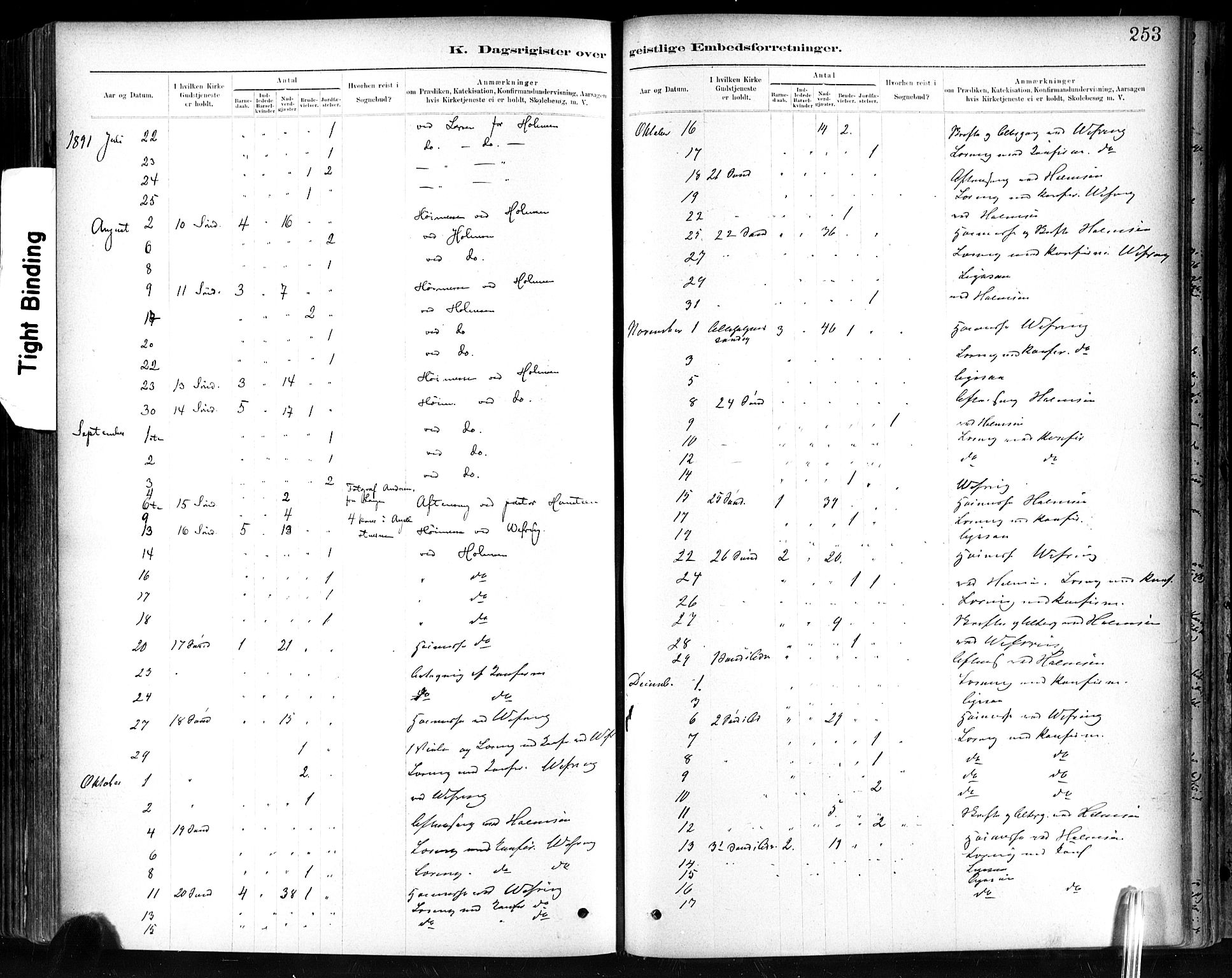 Ministerialprotokoller, klokkerbøker og fødselsregistre - Sør-Trøndelag, SAT/A-1456/602/L0120: Parish register (official) no. 602A18, 1880-1913, p. 253