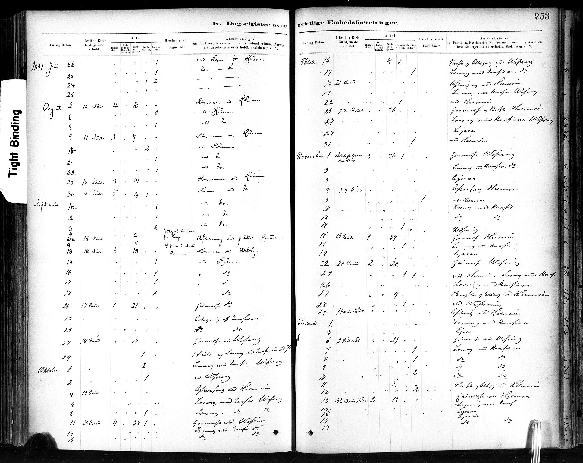 Ministerialprotokoller, klokkerbøker og fødselsregistre - Sør-Trøndelag, AV/SAT-A-1456/602/L0120: Parish register (official) no. 602A18, 1880-1913, p. 253