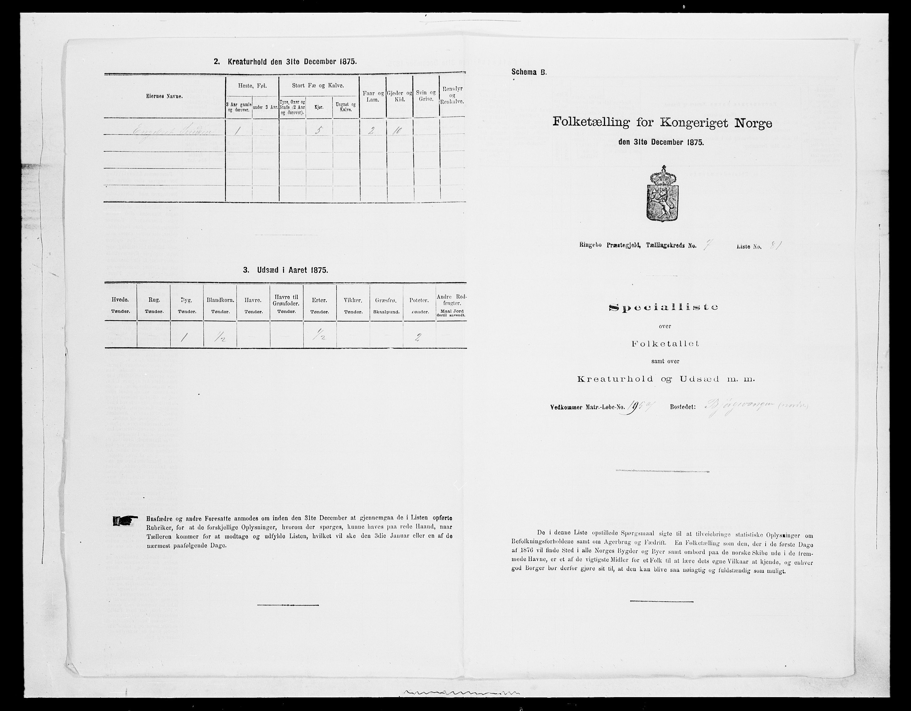 SAH, 1875 census for 0520P Ringebu, 1875, p. 1169