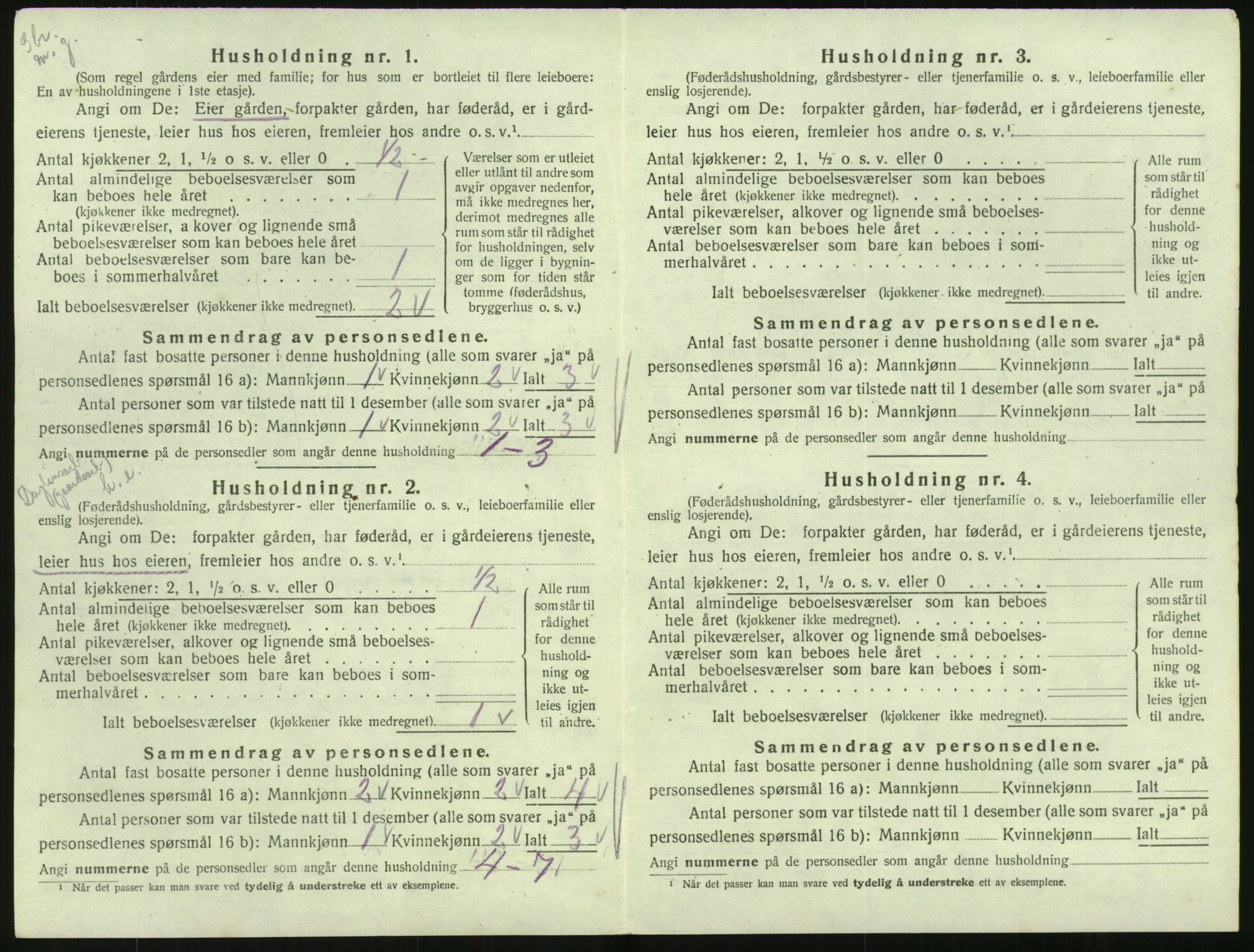 SAK, 1920 census for Hornnes, 1920, p. 134
