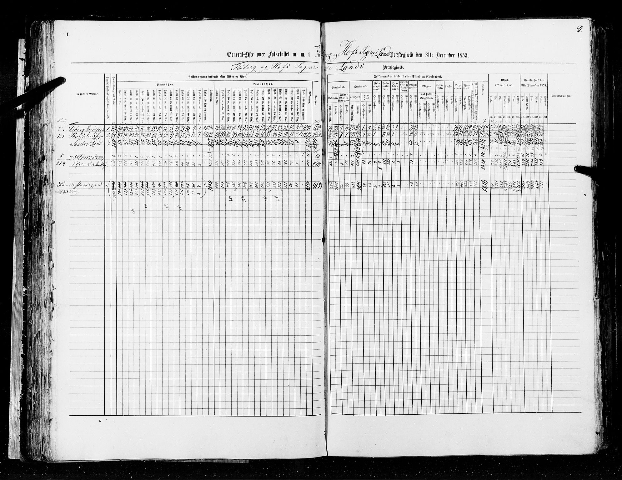 RA, Census 1855, vol. 2: Kristians amt, Buskerud amt og Jarlsberg og Larvik amt, 1855, p. 91