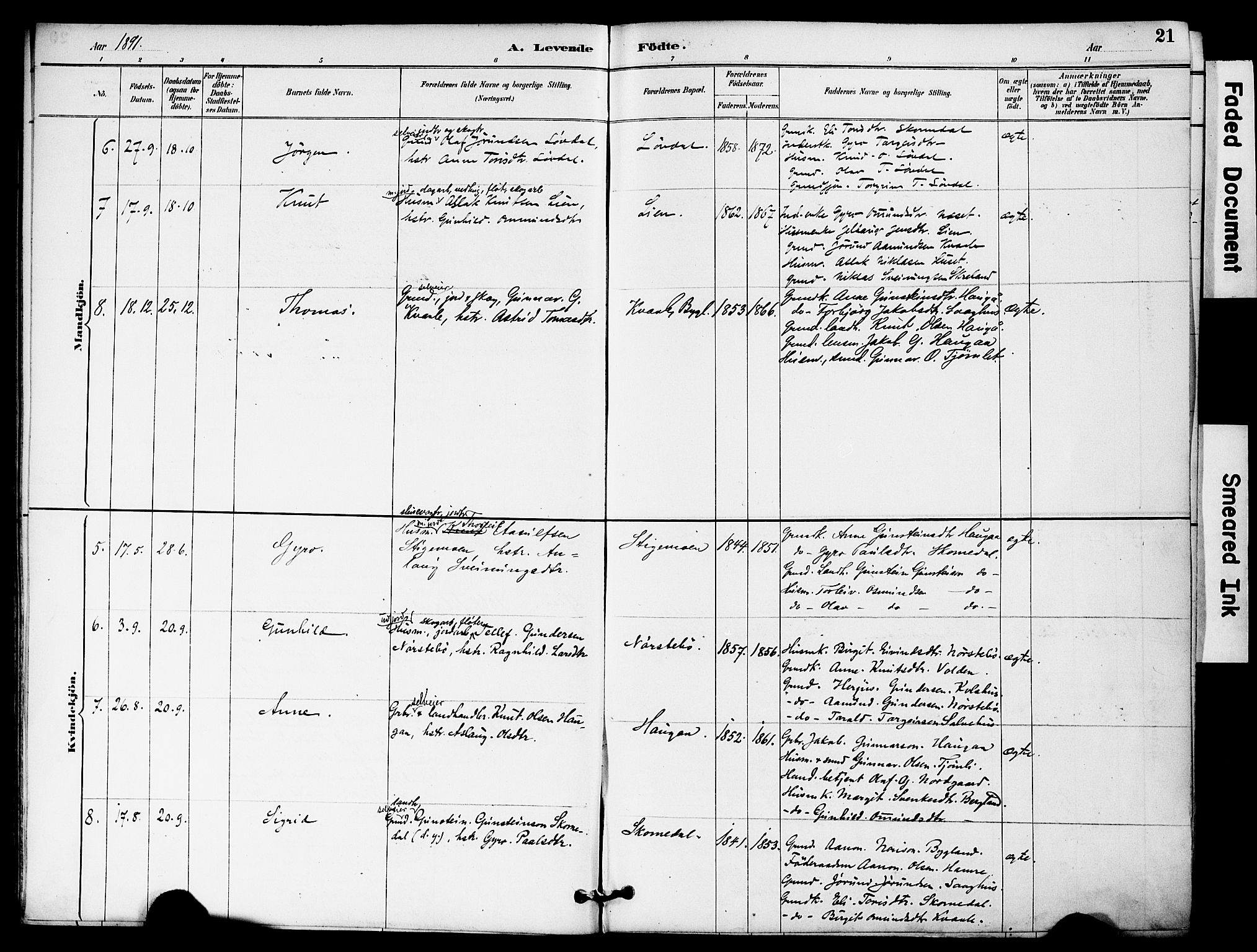 Bygland sokneprestkontor, AV/SAK-1111-0006/F/Fa/Fab/L0007: Parish register (official) no. A 7, 1885-1909, p. 21