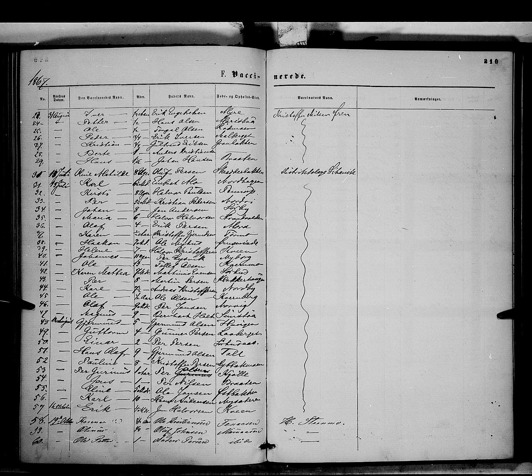 Trysil prestekontor, SAH/PREST-046/H/Ha/Haa/L0006: Parish register (official) no. 6, 1866-1873, p. 210