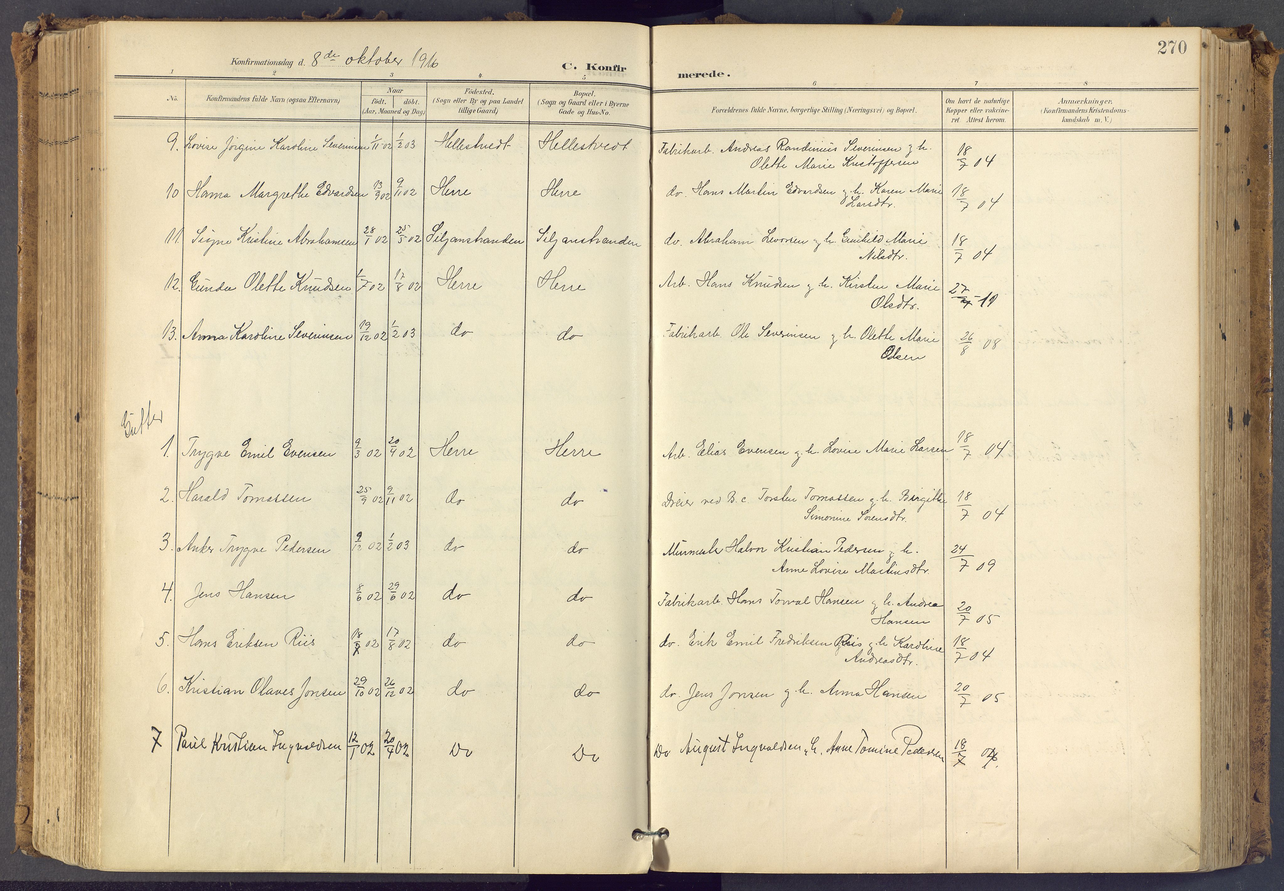 Bamble kirkebøker, SAKO/A-253/F/Fa/L0009: Parish register (official) no. I 9, 1901-1917, p. 270