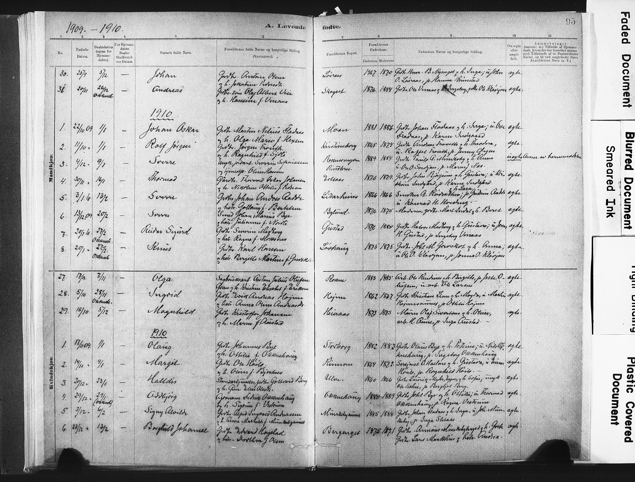 Ministerialprotokoller, klokkerbøker og fødselsregistre - Nord-Trøndelag, SAT/A-1458/721/L0207: Parish register (official) no. 721A02, 1880-1911, p. 95
