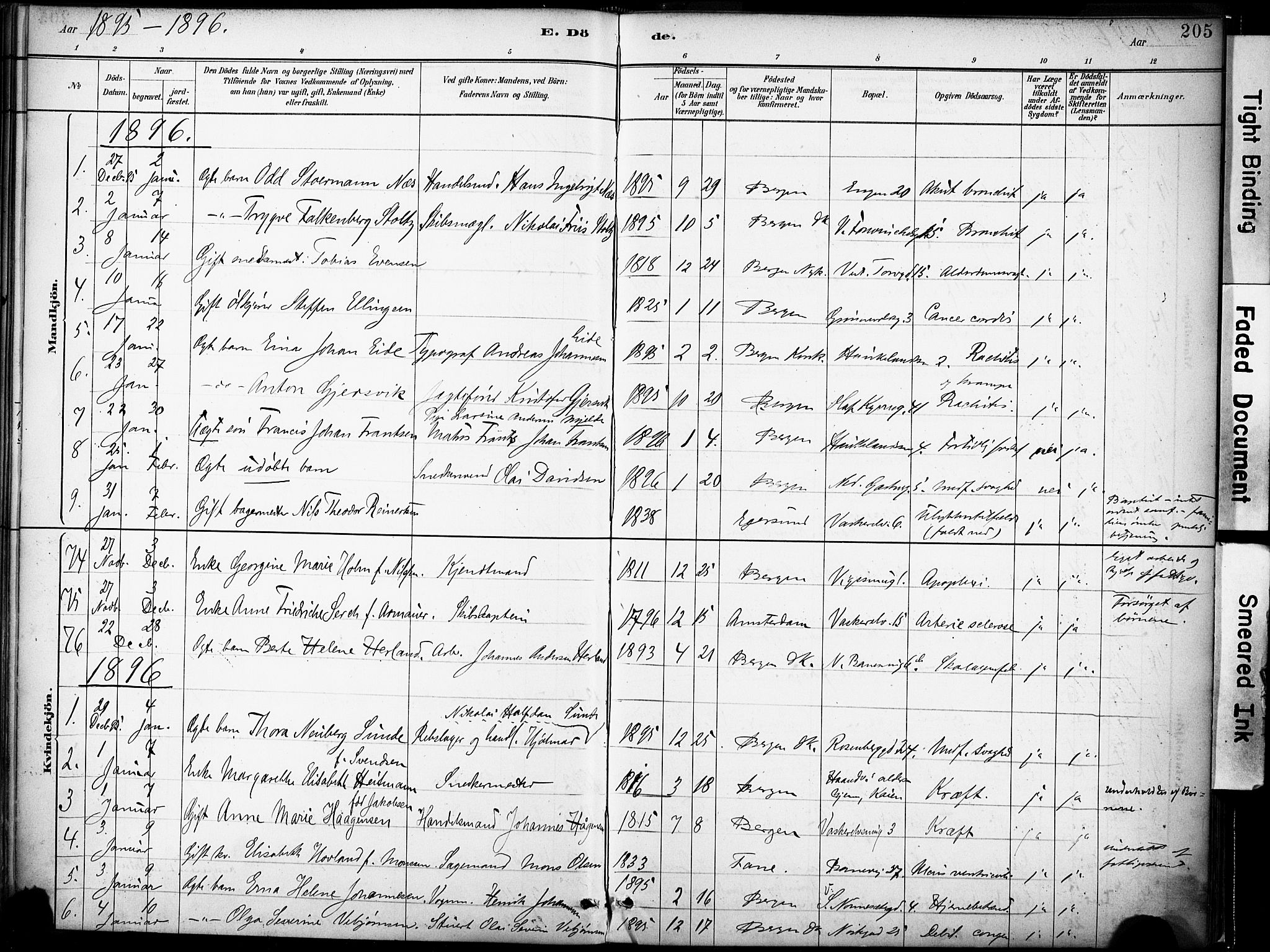 Domkirken sokneprestembete, SAB/A-74801/H/Haa/L0043: Parish register (official) no. E 5, 1882-1904, p. 205