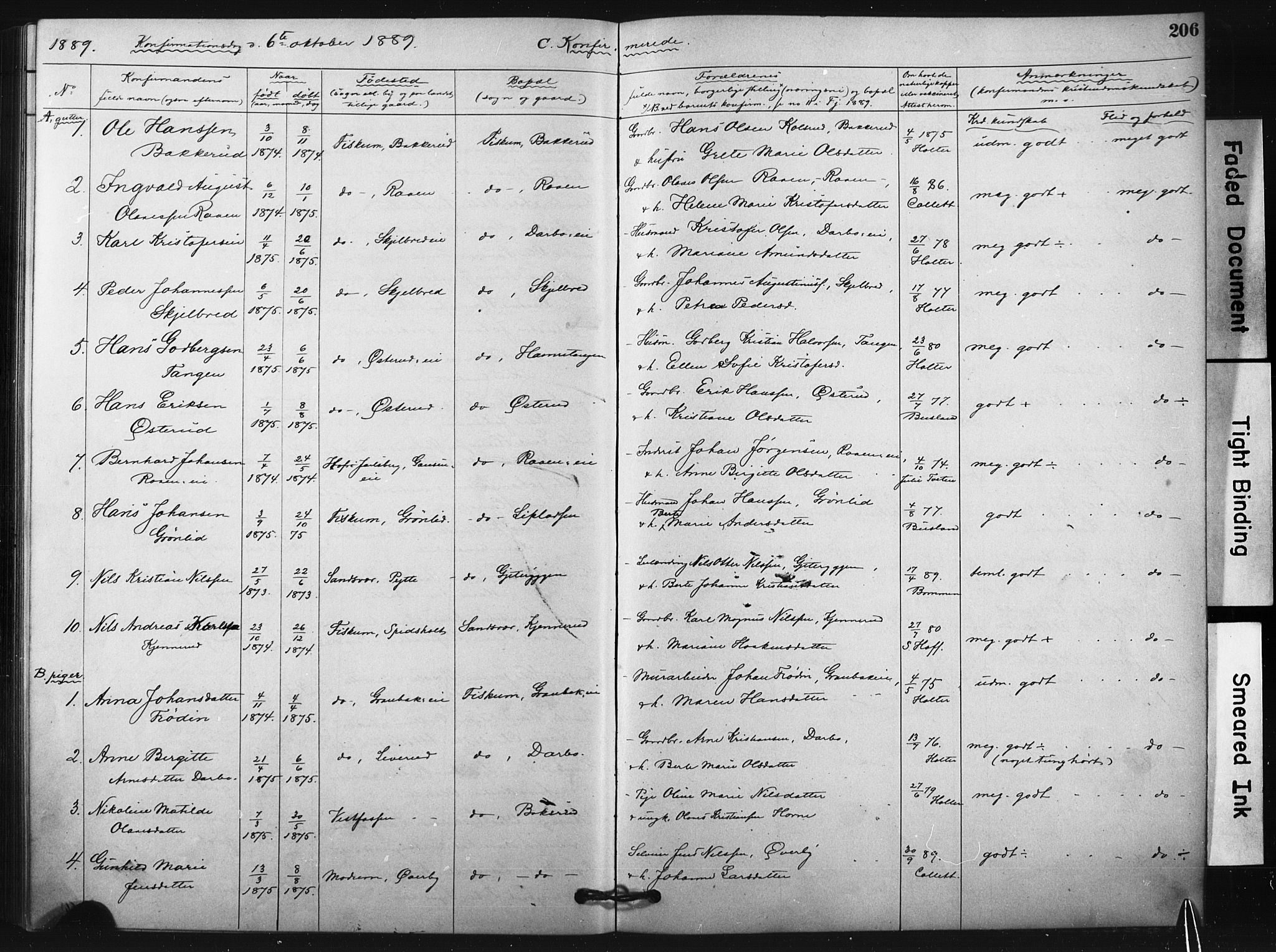 Fiskum kirkebøker, SAKO/A-15/F/Fa/L0002: Parish register (official) no. 2, 1878-1890, p. 206