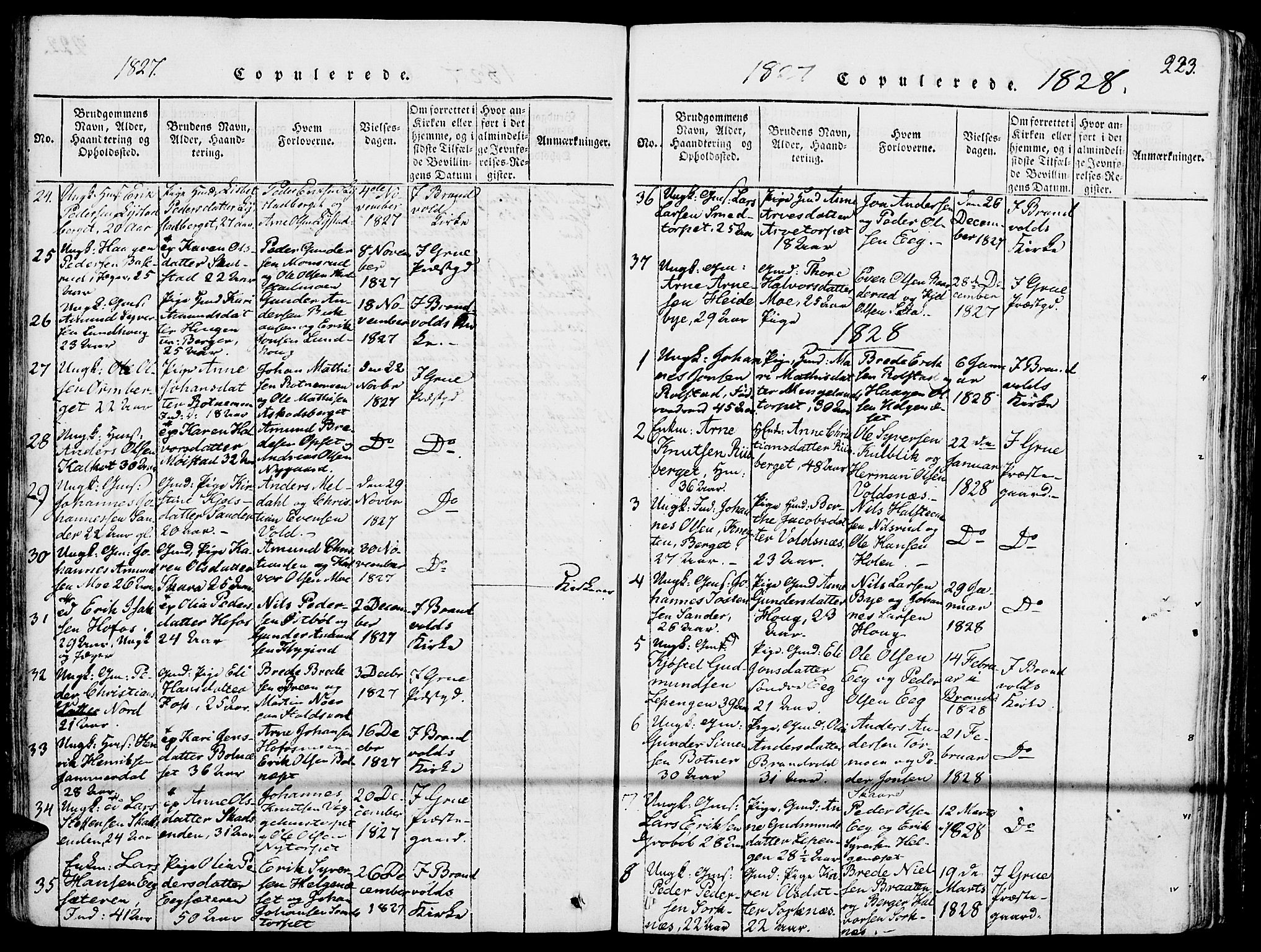 Grue prestekontor, AV/SAH-PREST-036/H/Ha/Haa/L0006: Parish register (official) no. 6, 1814-1830, p. 223