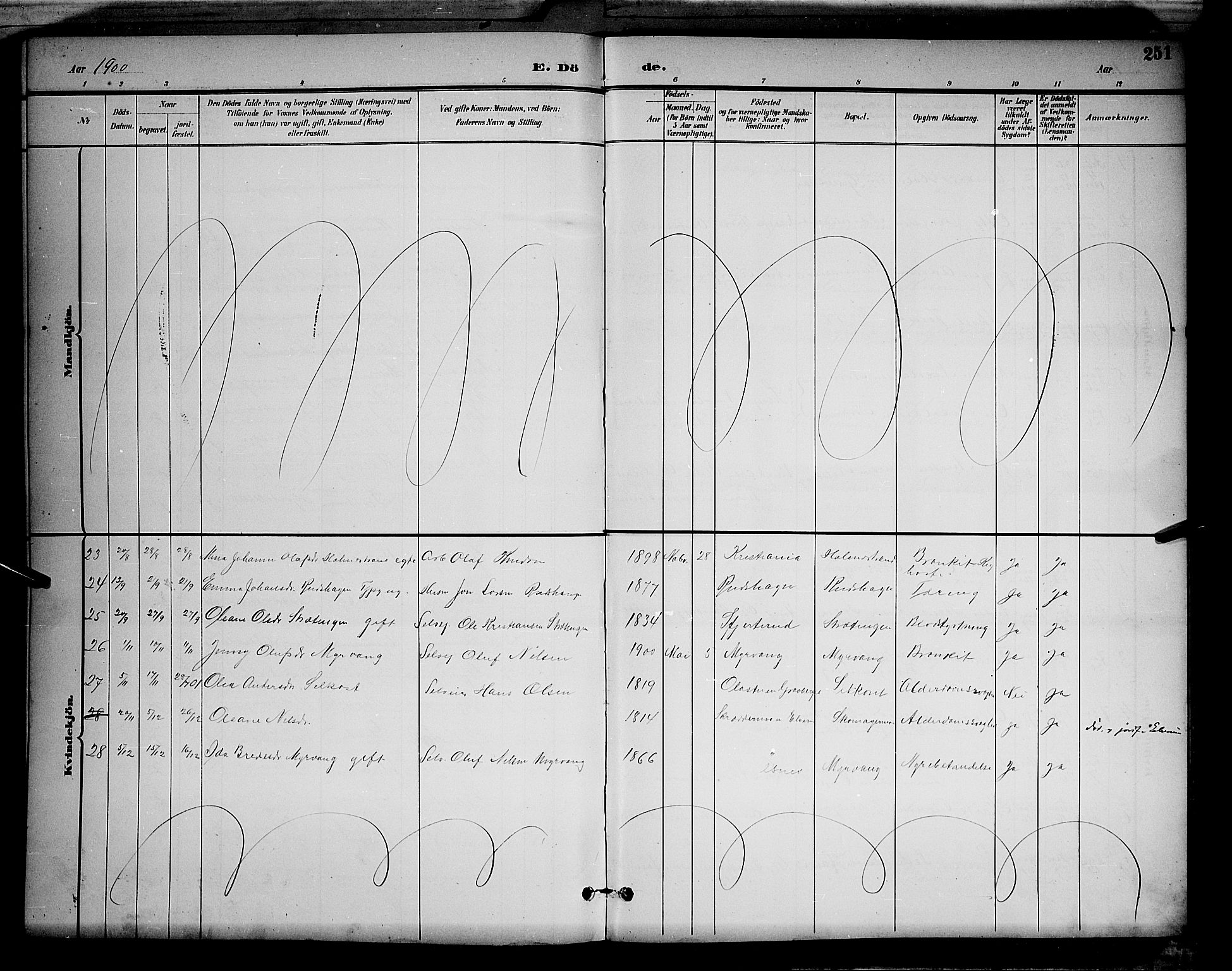 Våler prestekontor, Hedmark, AV/SAH-PREST-040/H/Ha/Hab/L0001: Parish register (copy) no. 1, 1894-1904, p. 251