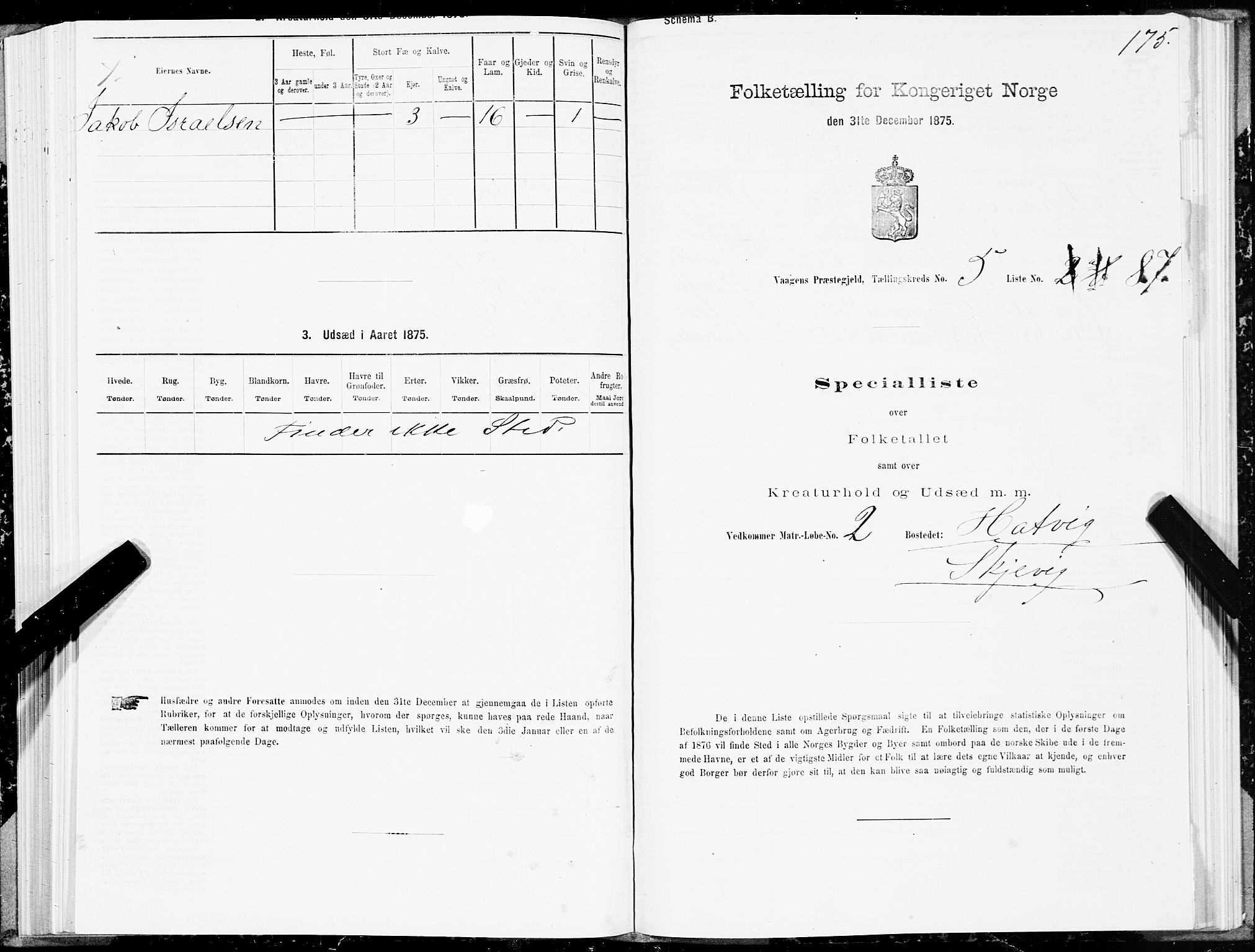 SAT, 1875 census for 1865P Vågan, 1875, p. 4175