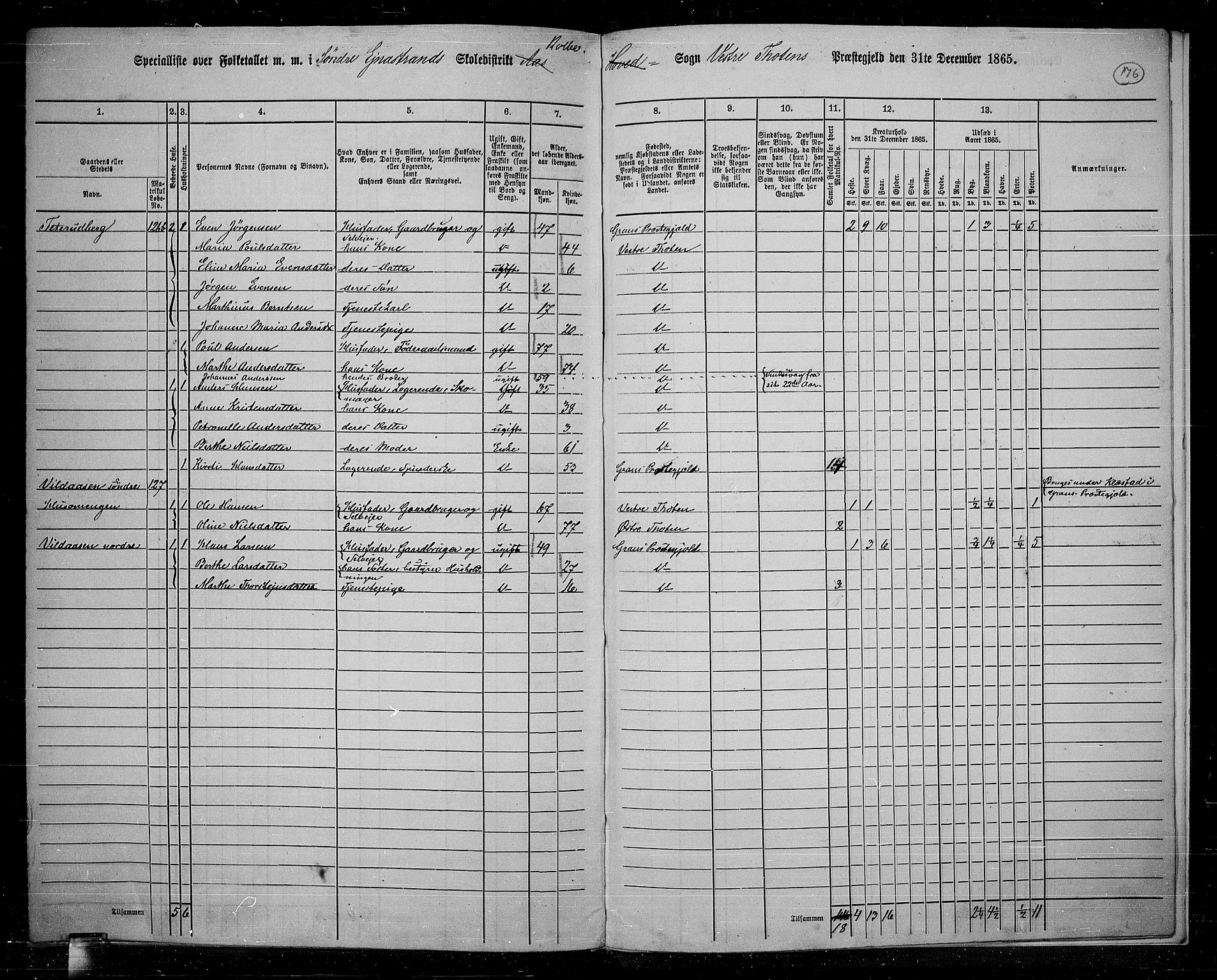 RA, 1865 census for Vestre Toten, 1865, p. 159