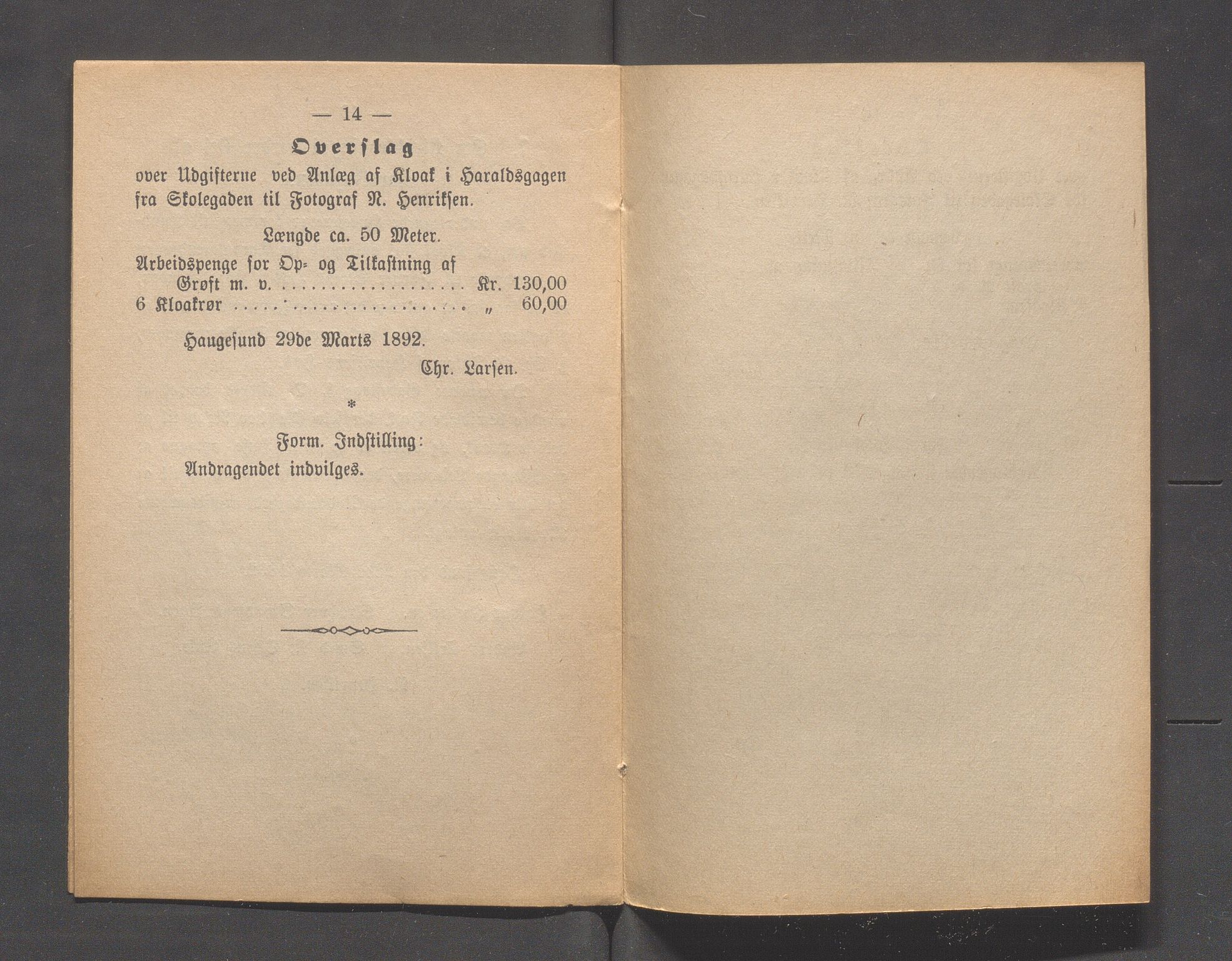 Haugesund kommune - Formannskapet og Bystyret, IKAR/A-740/A/Abb/L0001: Bystyreforhandlinger, 1889-1907, p. 117