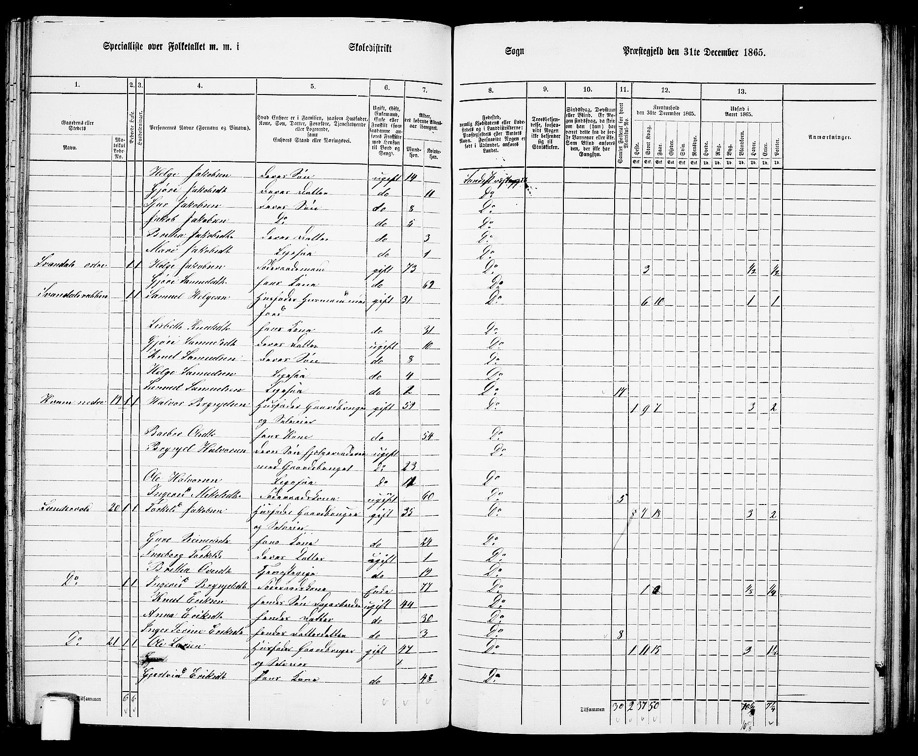 RA, 1865 census for Sand, 1865, p. 87