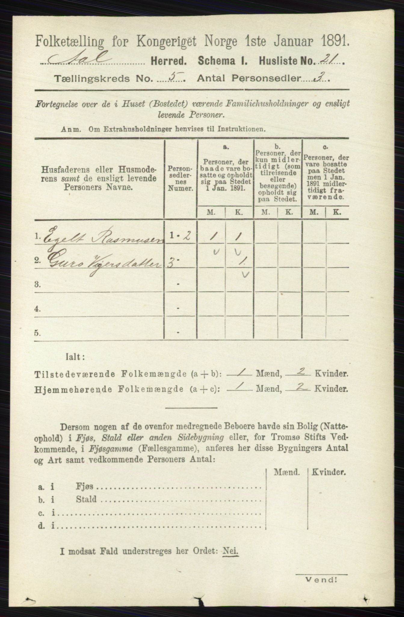 RA, 1891 census for 0619 Ål, 1891, p. 1356