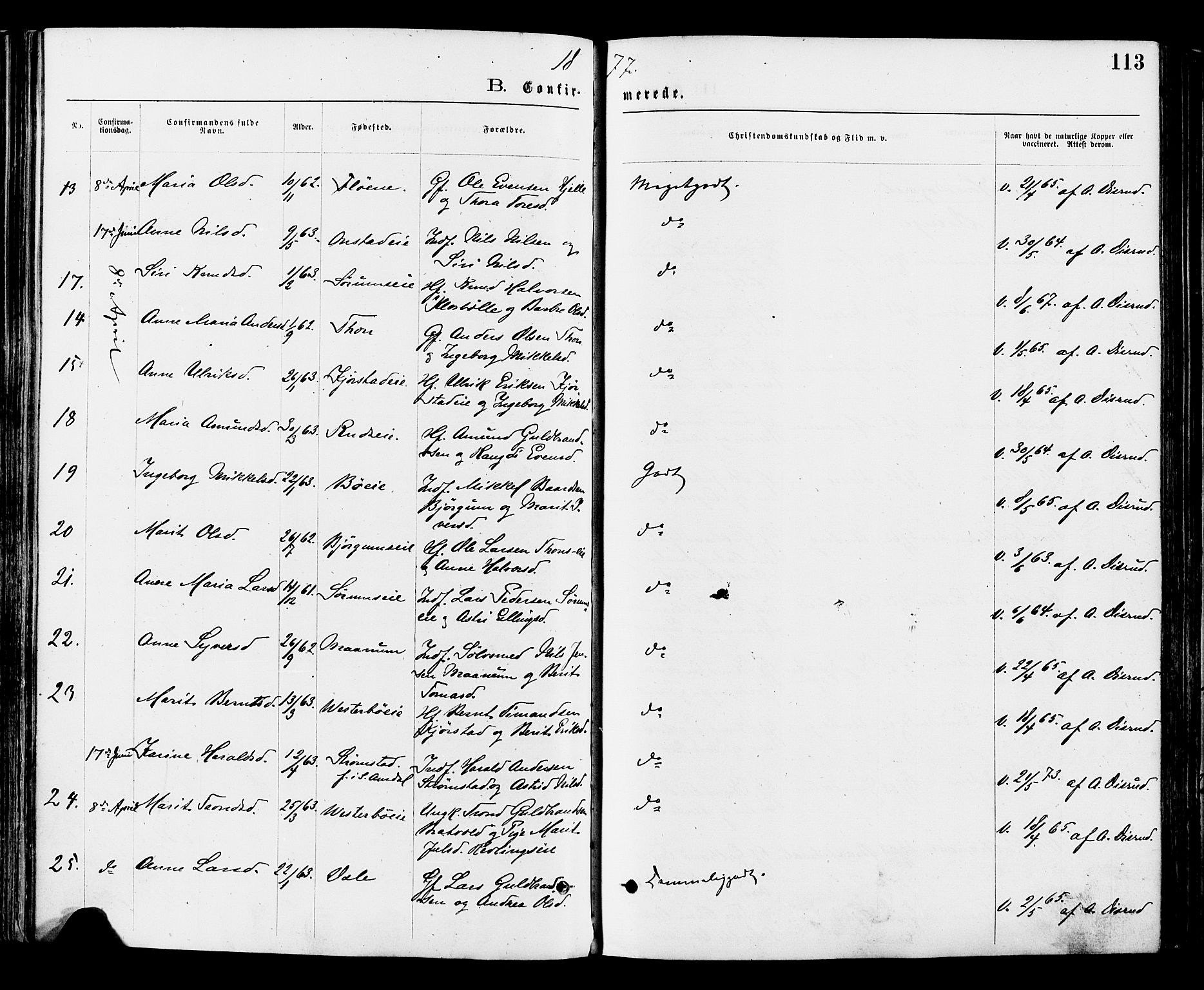 Nord-Aurdal prestekontor, AV/SAH-PREST-132/H/Ha/Haa/L0009: Parish register (official) no. 9, 1876-1882, p. 113