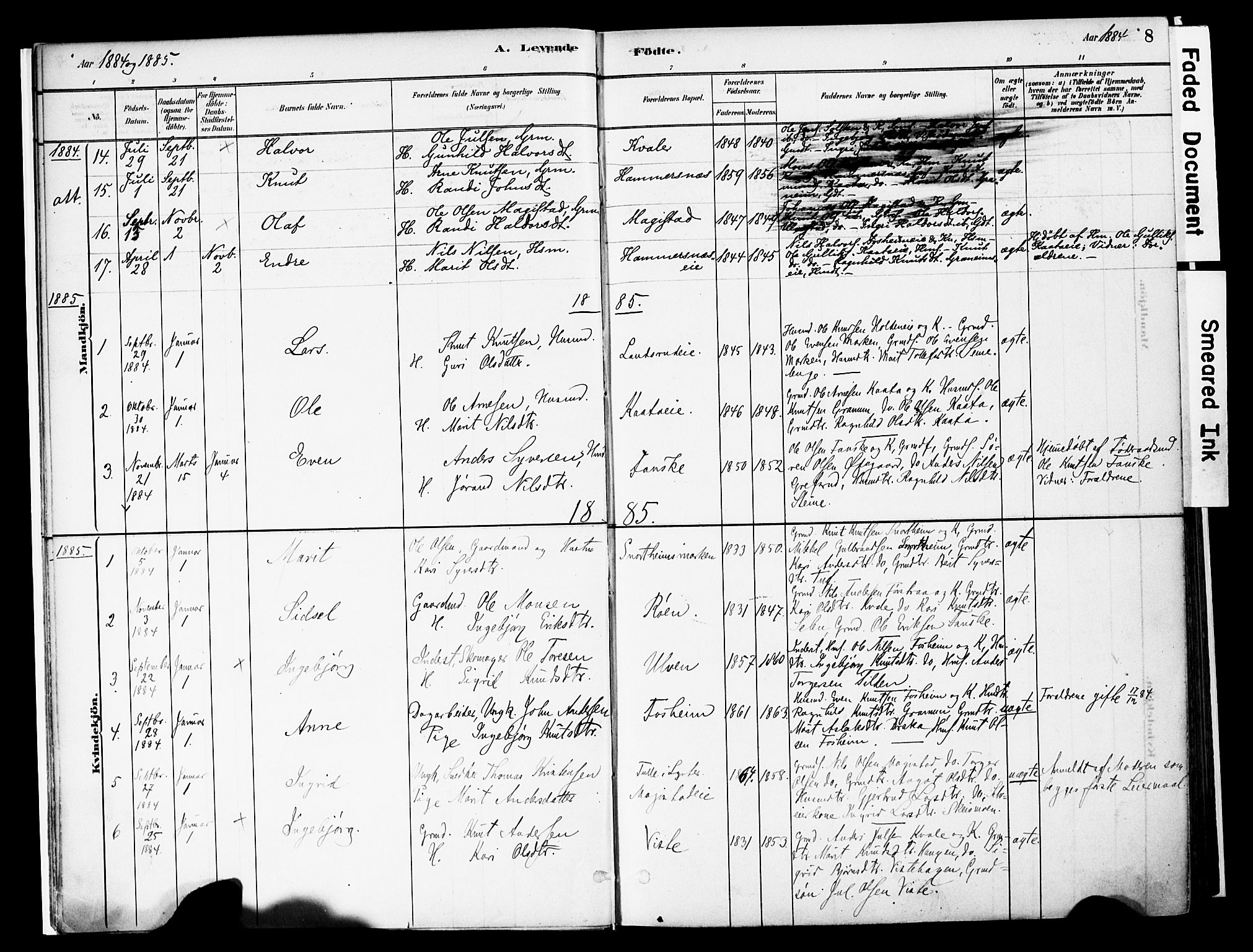 Vestre Slidre prestekontor, SAH/PREST-136/H/Ha/Haa/L0006: Parish register (official) no. 6, 1881-1912, p. 8