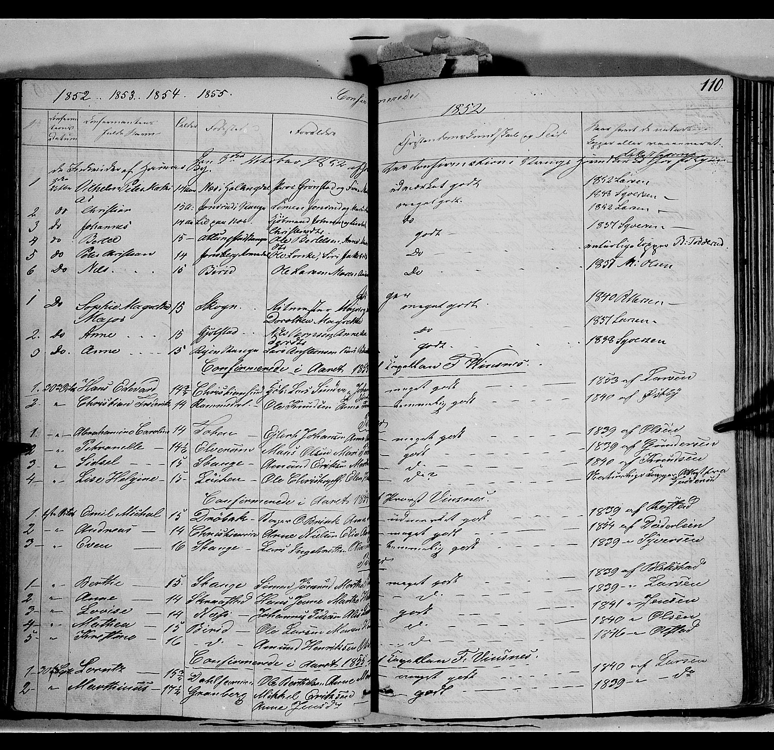 Vang prestekontor, Hedmark, SAH/PREST-008/H/Ha/Haa/L0011: Parish register (official) no. 11, 1852-1877, p. 110