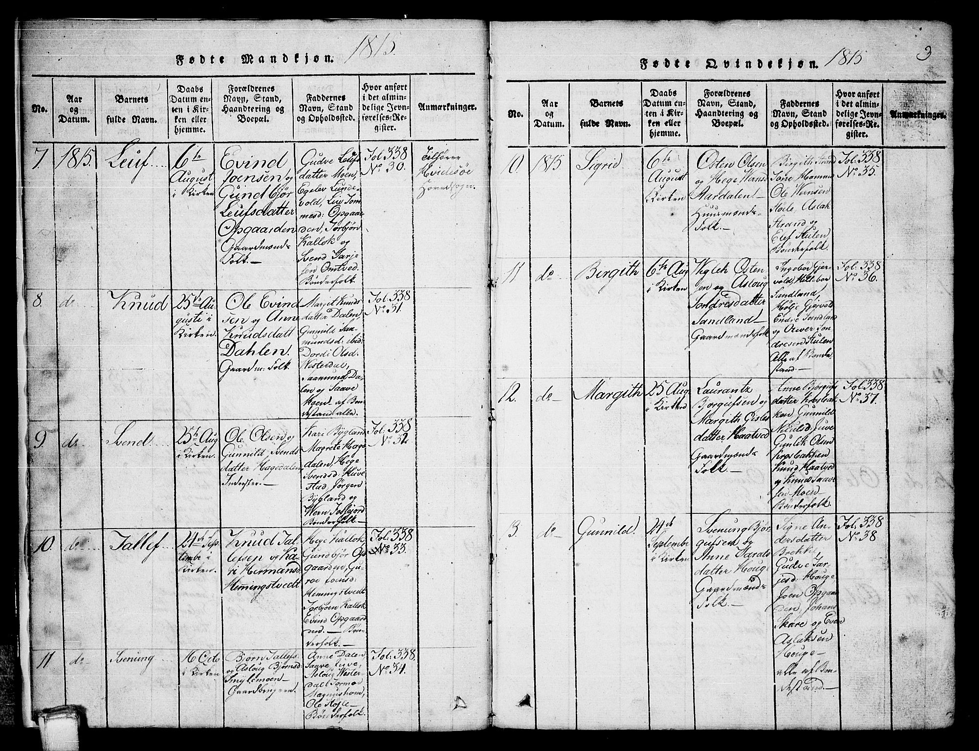 Kviteseid kirkebøker, SAKO/A-276/G/Gb/L0001: Parish register (copy) no. II 1, 1815-1842, p. 3