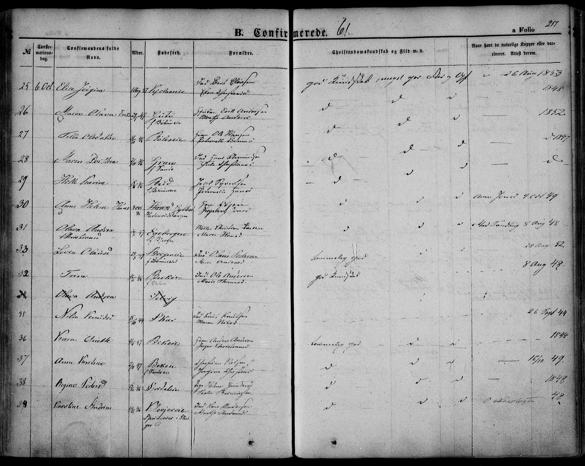 Sande Kirkebøker, AV/SAKO-A-53/F/Fa/L0004: Parish register (official) no. 4, 1847-1864, p. 217