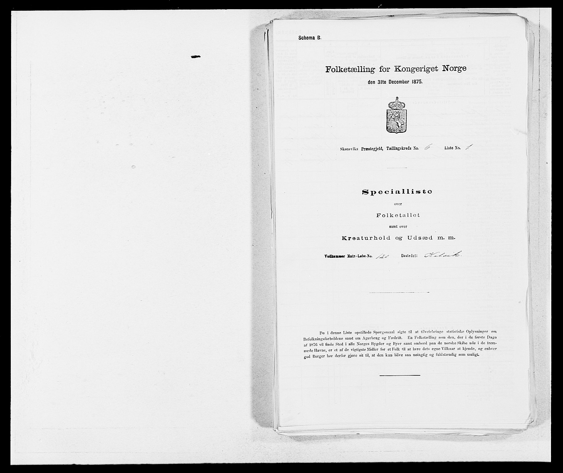 SAB, 1875 census for 1212P Skånevik, 1875, p. 572