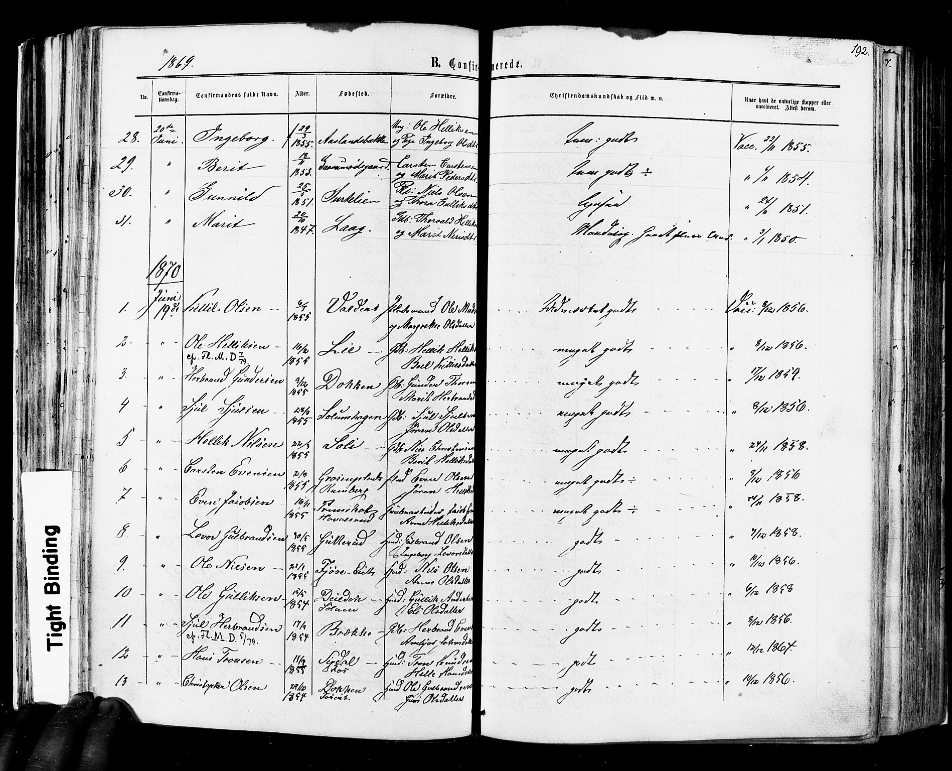 Flesberg kirkebøker, SAKO/A-18/F/Fa/L0007: Parish register (official) no. I 7, 1861-1878, p. 192