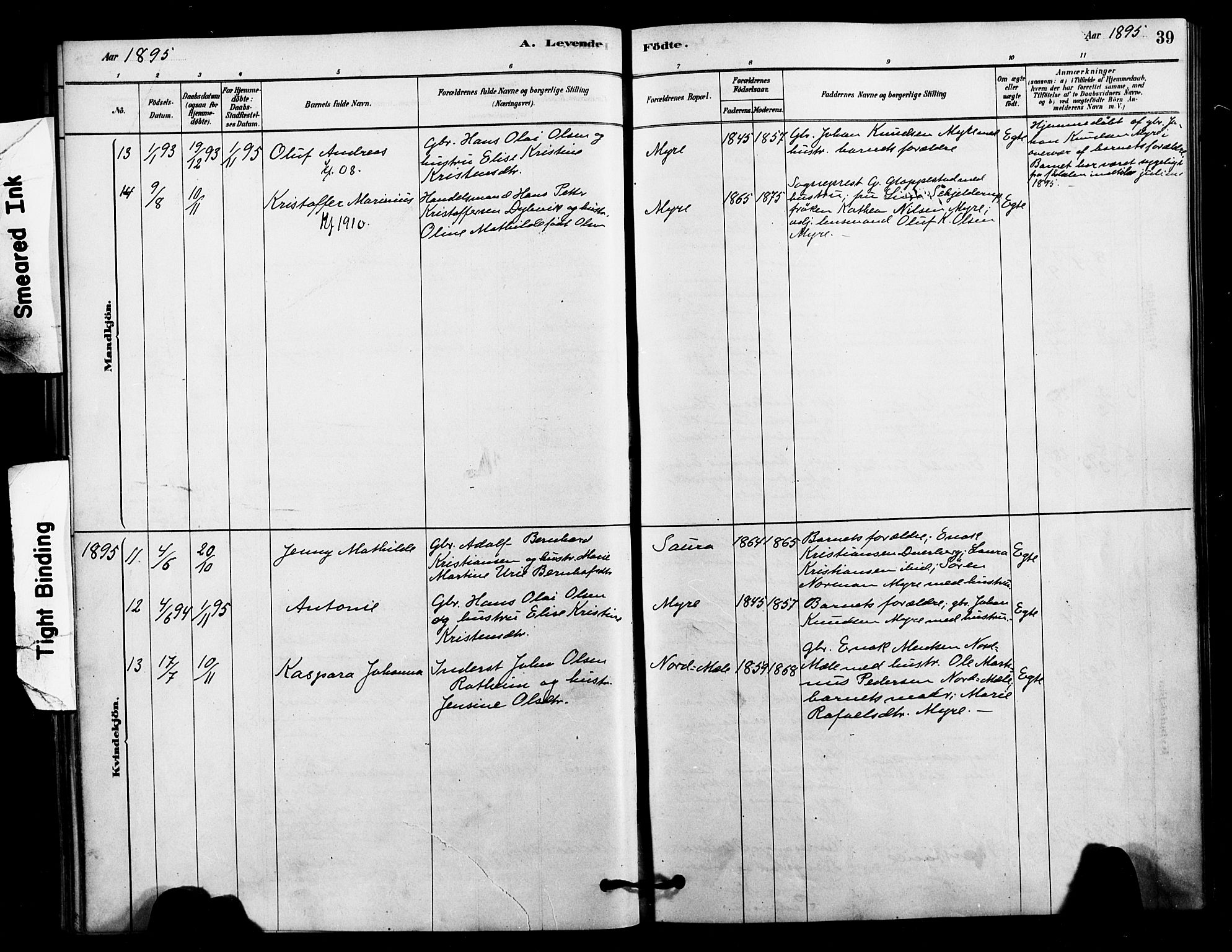 Ministerialprotokoller, klokkerbøker og fødselsregistre - Nordland, AV/SAT-A-1459/897/L1399: Parish register (official) no. 897C06, 1881-1896, p. 39