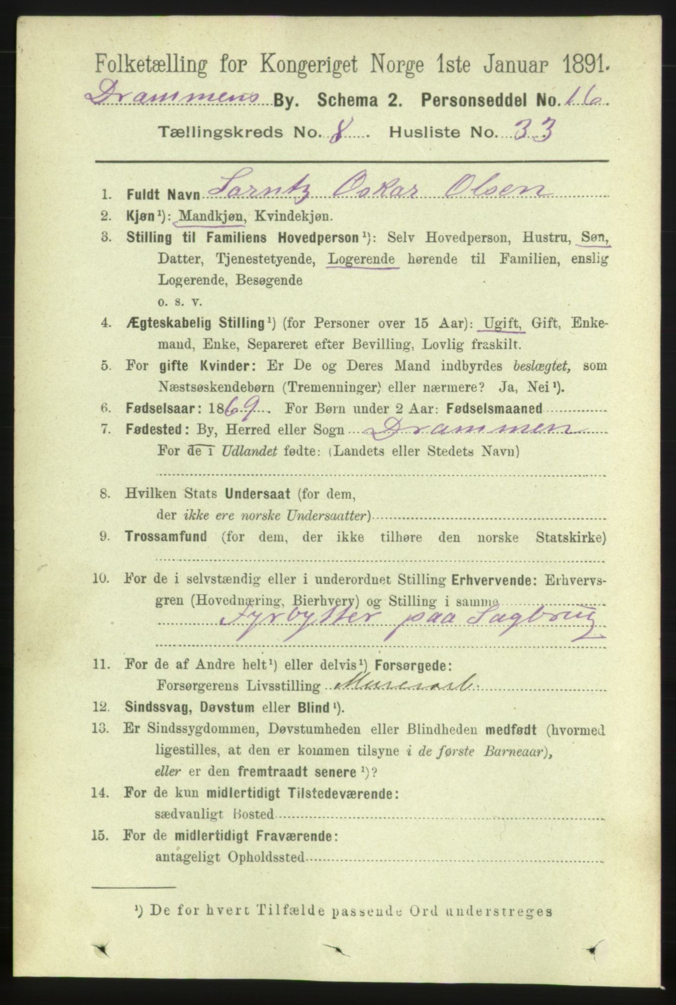 RA, 1891 census for 0602 Drammen, 1891, p. 7233