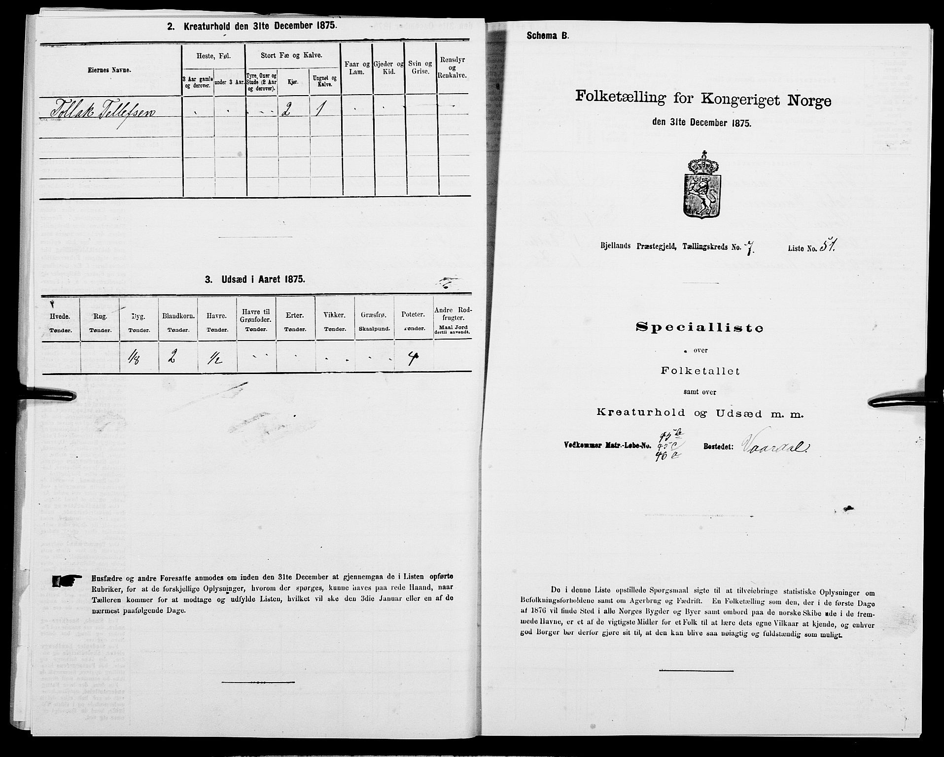 SAK, 1875 census for 1024P Bjelland, 1875, p. 494