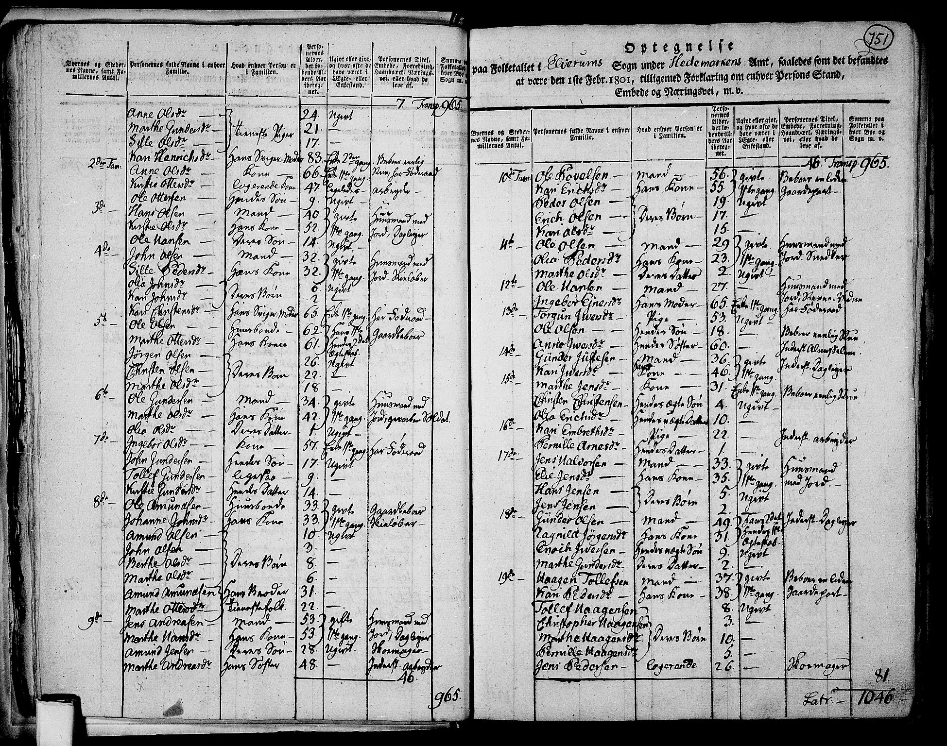 RA, 1801 census for 0427P Elverum, 1801, p. 750b-751a