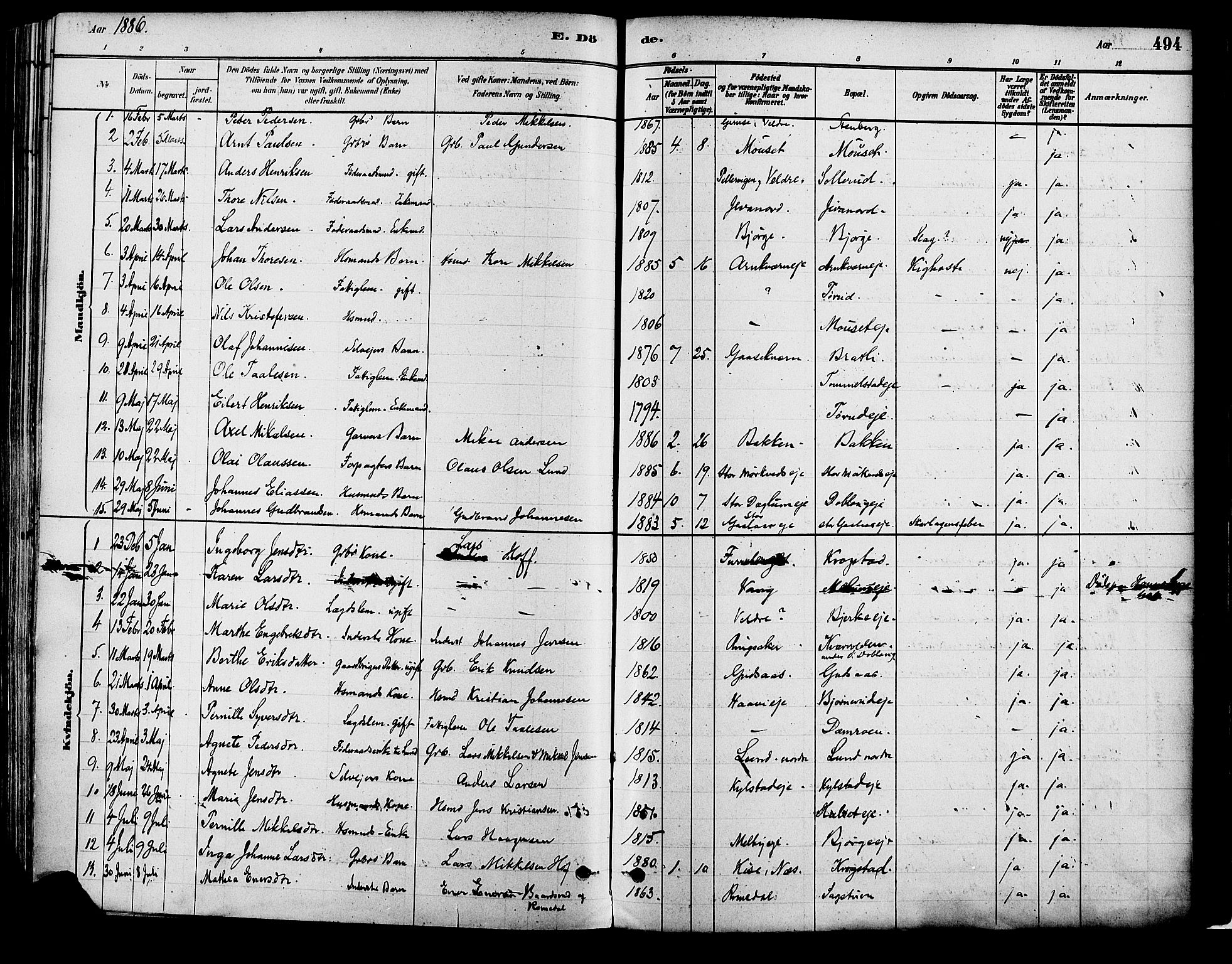 Vang prestekontor, Hedmark, SAH/PREST-008/H/Ha/Haa/L0018B: Parish register (official) no. 18B, 1880-1906, p. 494