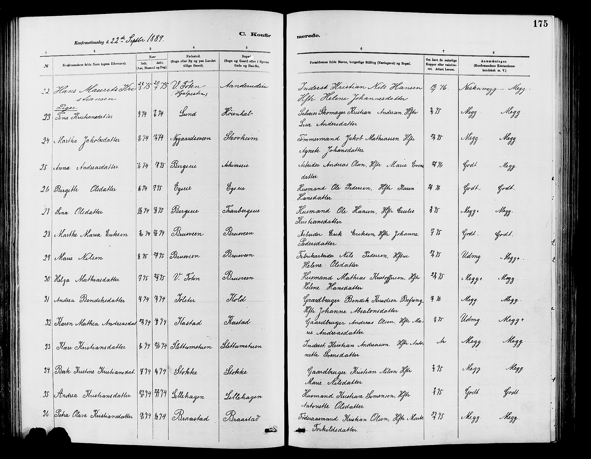 Vardal prestekontor, SAH/PREST-100/H/Ha/Hab/L0007: Parish register (copy) no. 7 /1, 1881-1895, p. 175
