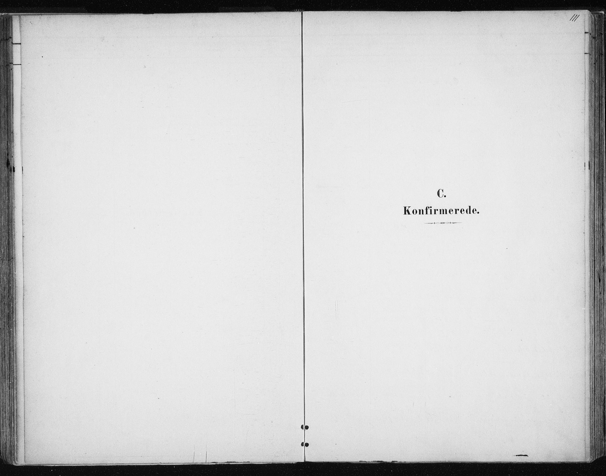 Tromsøysund sokneprestkontor, SATØ/S-1304/G/Ga/L0004kirke: Parish register (official) no. 4, 1880-1888, p. 111