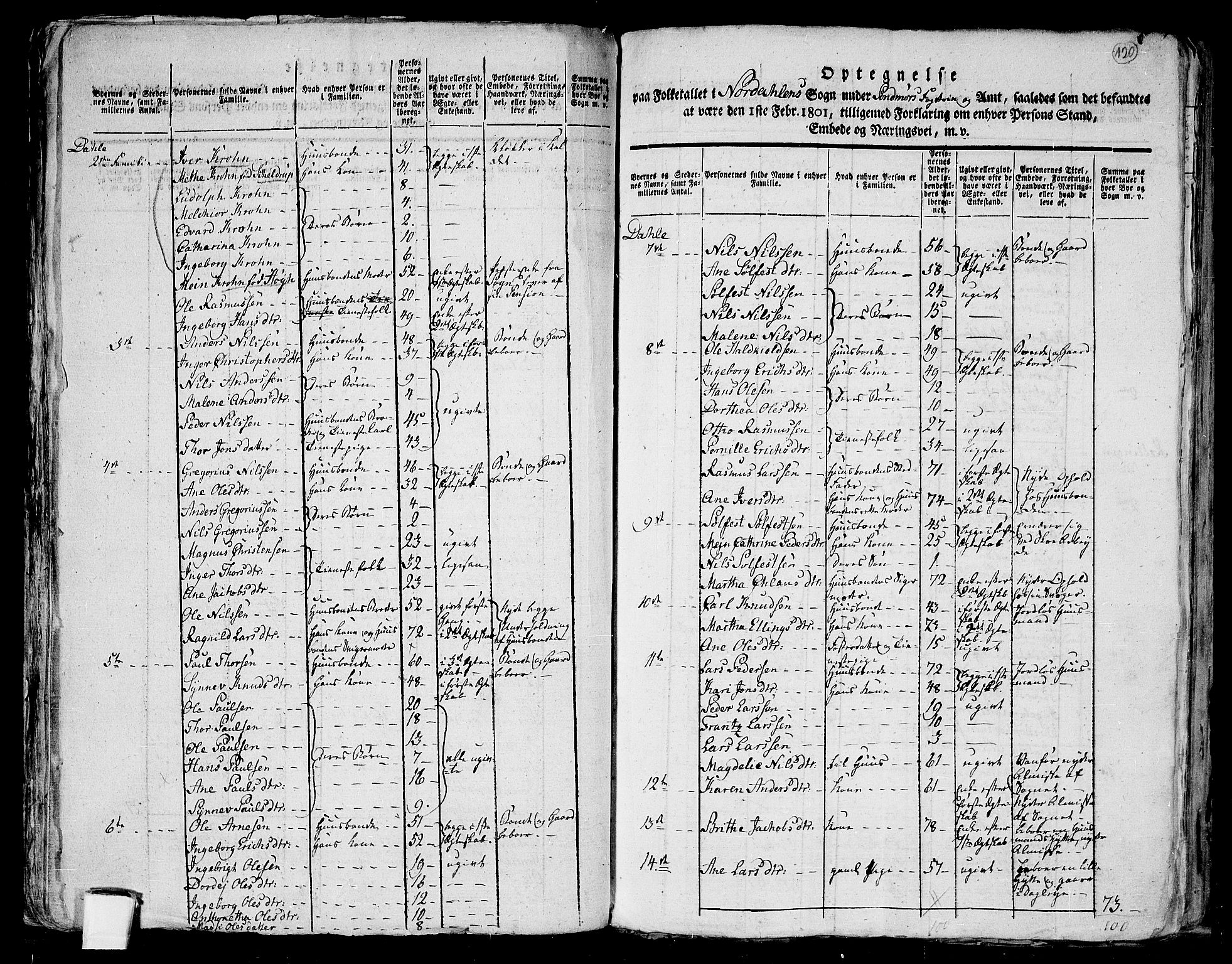 RA, 1801 census for 1524P Norddal, 1801, p. 119b-120a