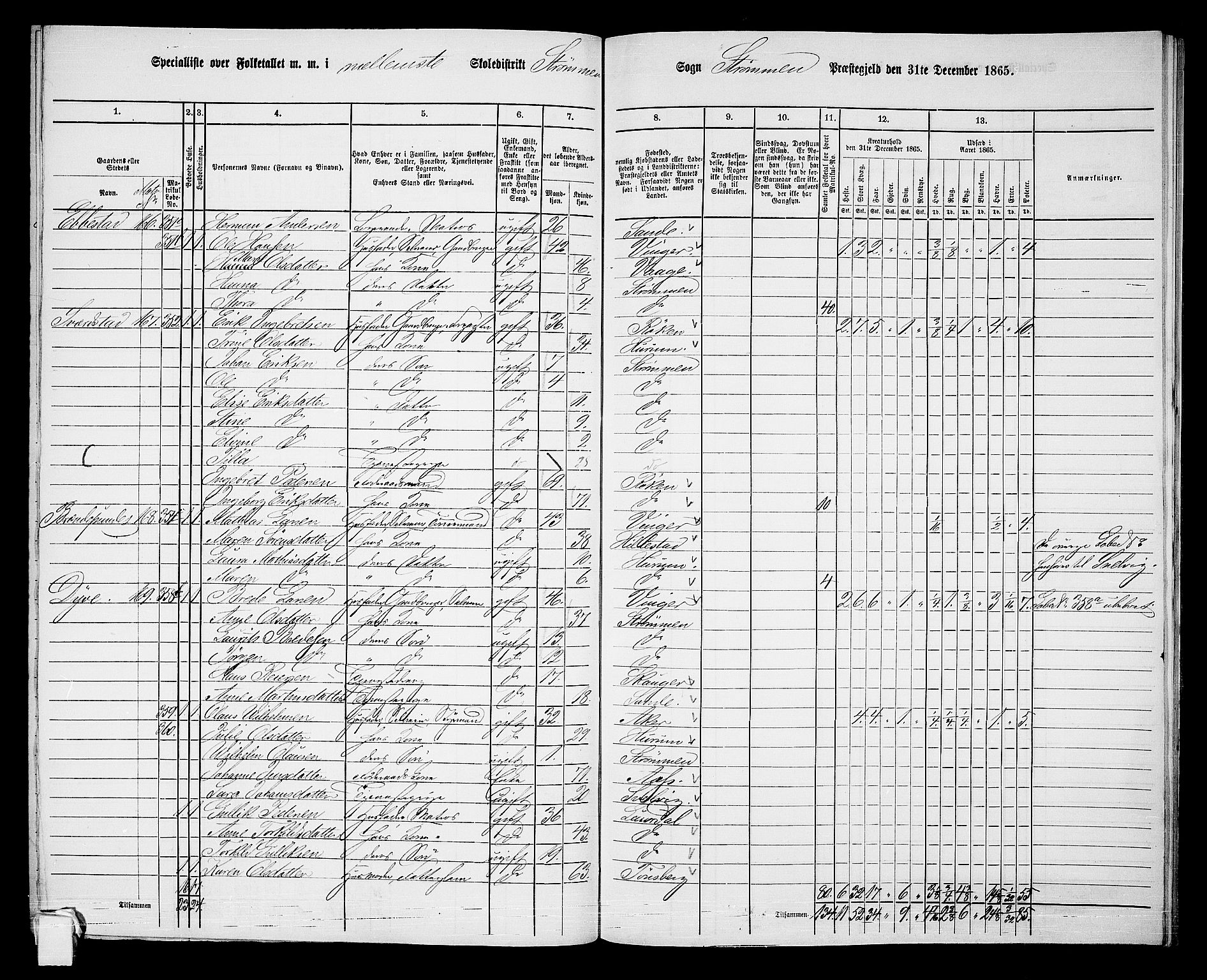 RA, 1865 census for Strømm, 1865, p. 33