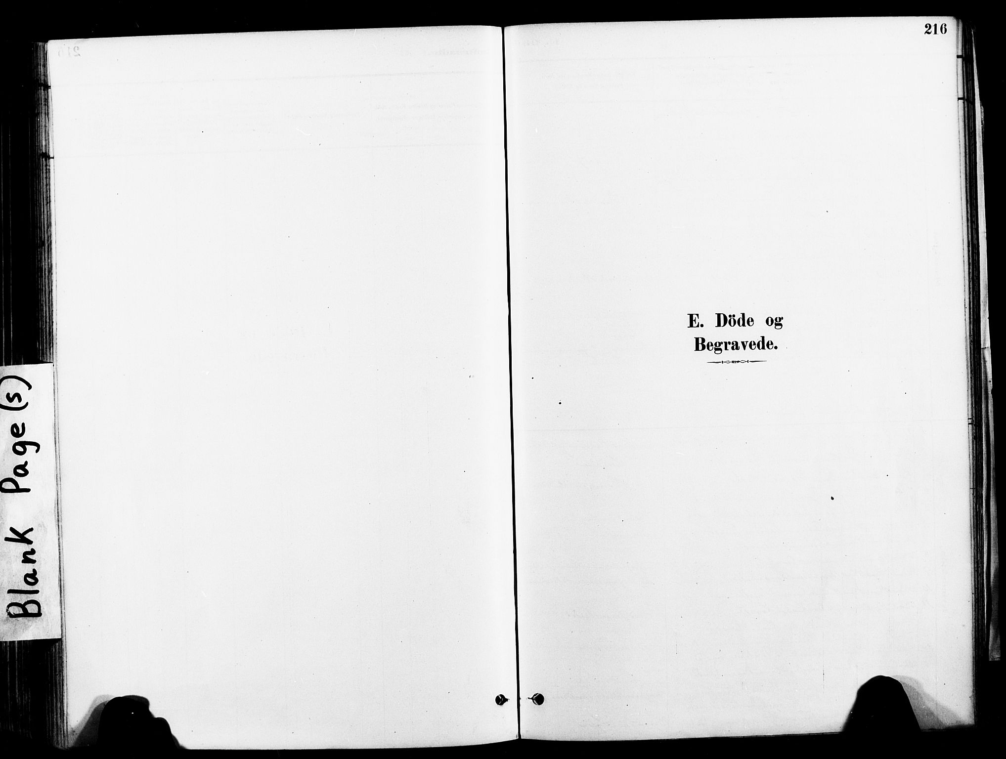 Ministerialprotokoller, klokkerbøker og fødselsregistre - Nord-Trøndelag, SAT/A-1458/709/L0077: Parish register (official) no. 709A17, 1880-1895, p. 216